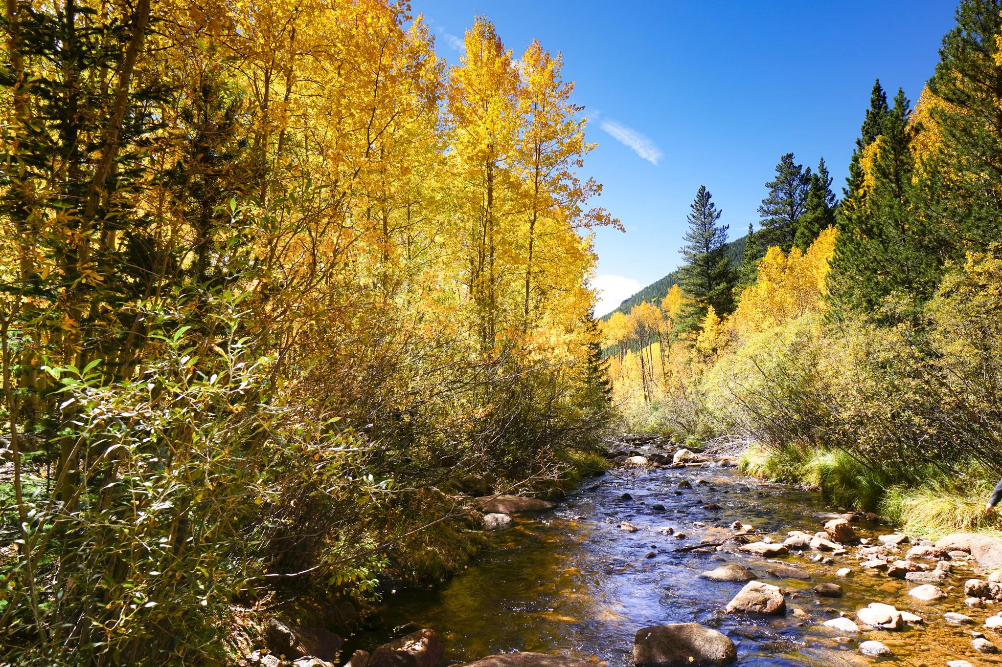 AbyssTrailDSC05038-2.jpg