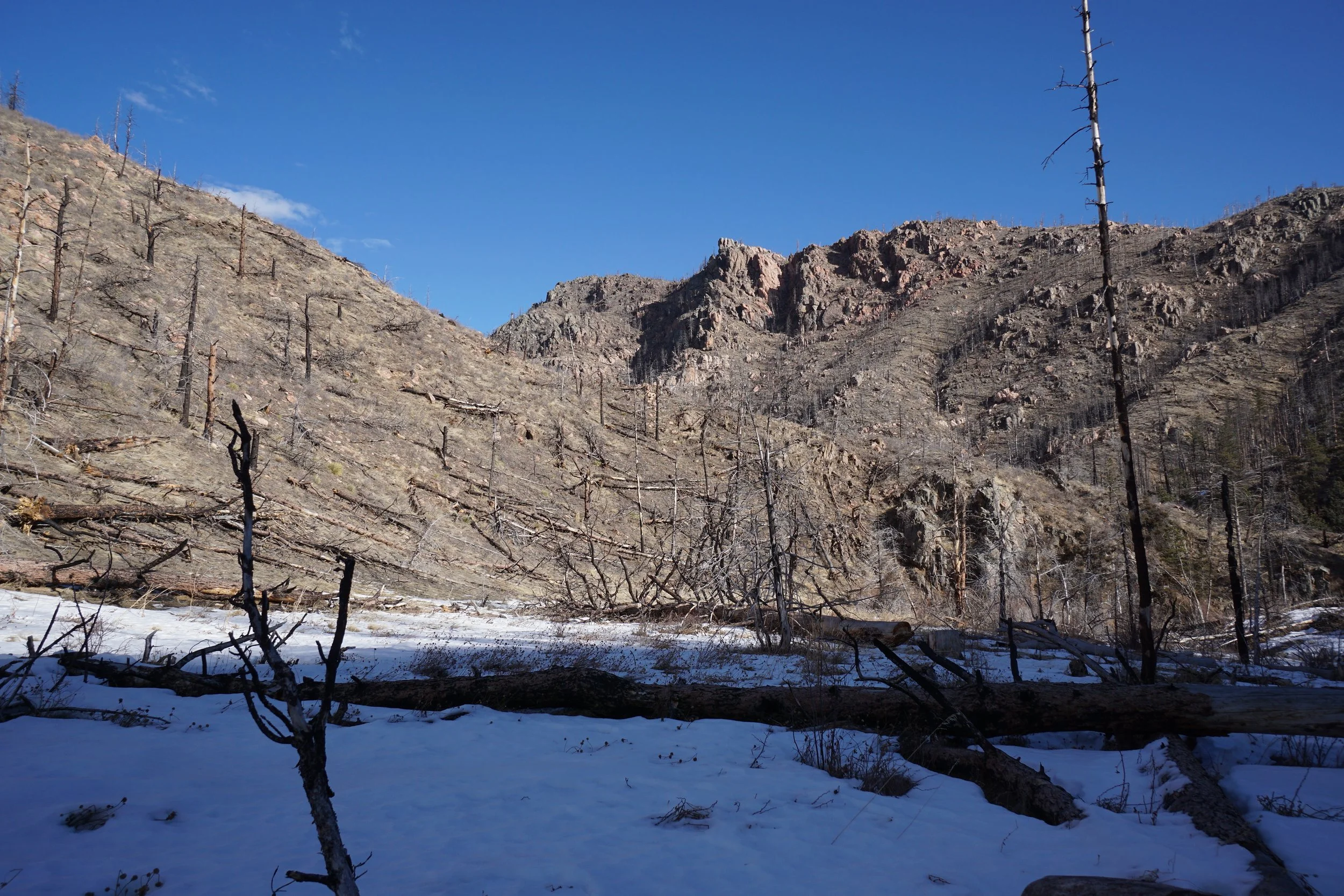 YoungGulchDSC00017-X5.jpg