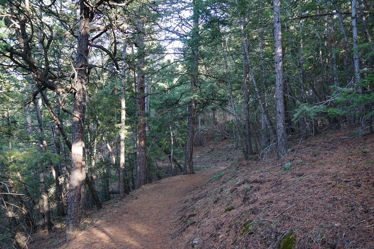 RangeViewOSMPDSC03625-X2.jpg