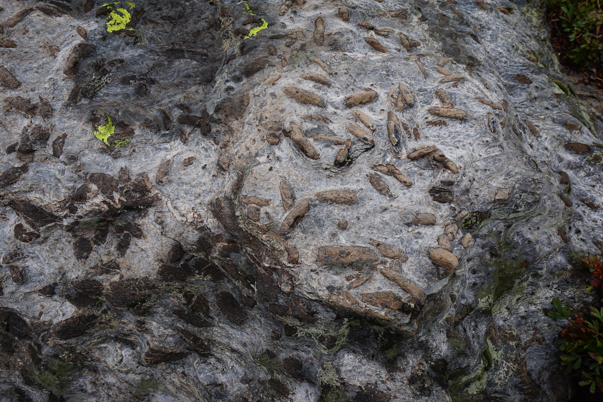 LamphierLakesDSC03816-2.jpg
