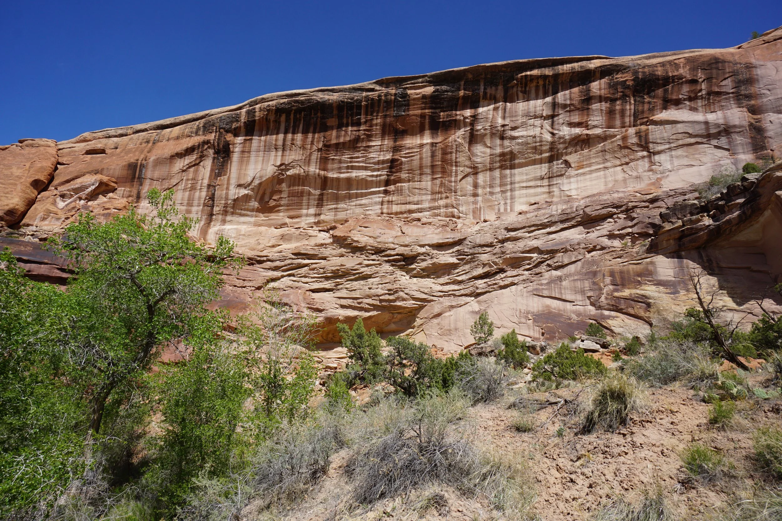 EchoCanyonCOLMDSC06199.JPG