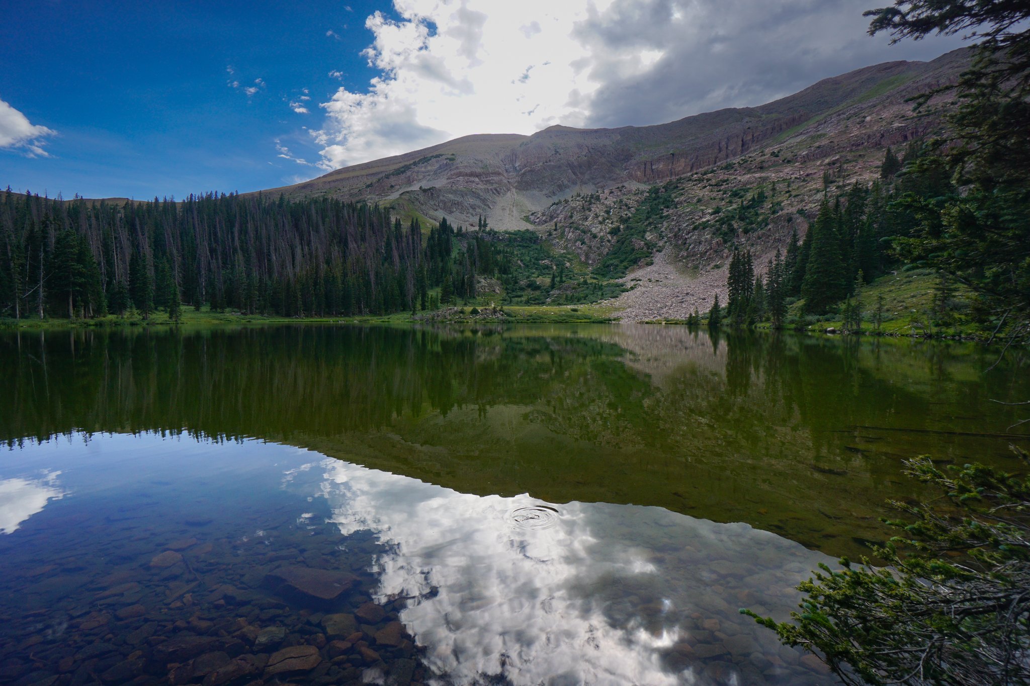 MillLakeDSC03893-2.jpg