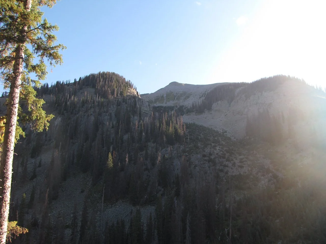 IMG_4006-X2.jpg