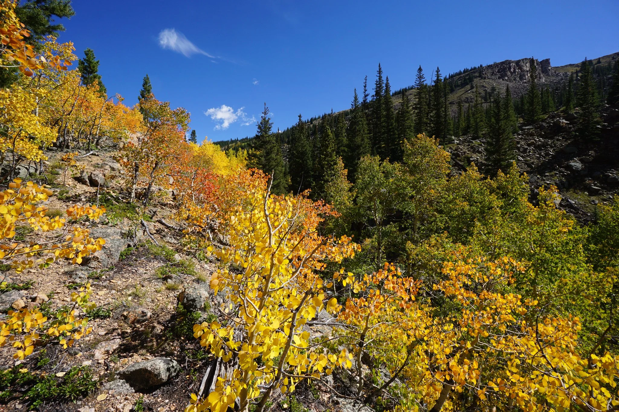 AbyssTrailDSC04888-2.jpg