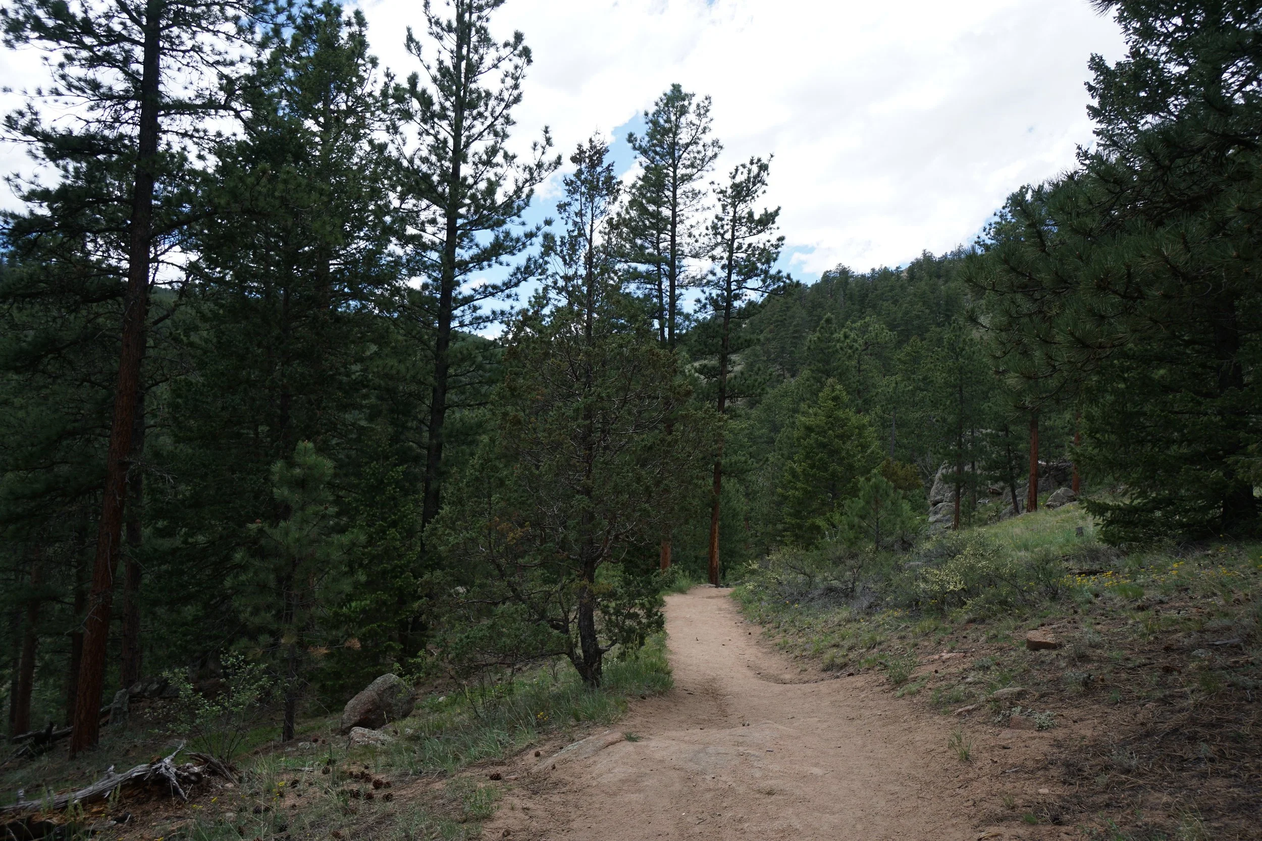 NorthForkCPWDSC03800-X5.jpg