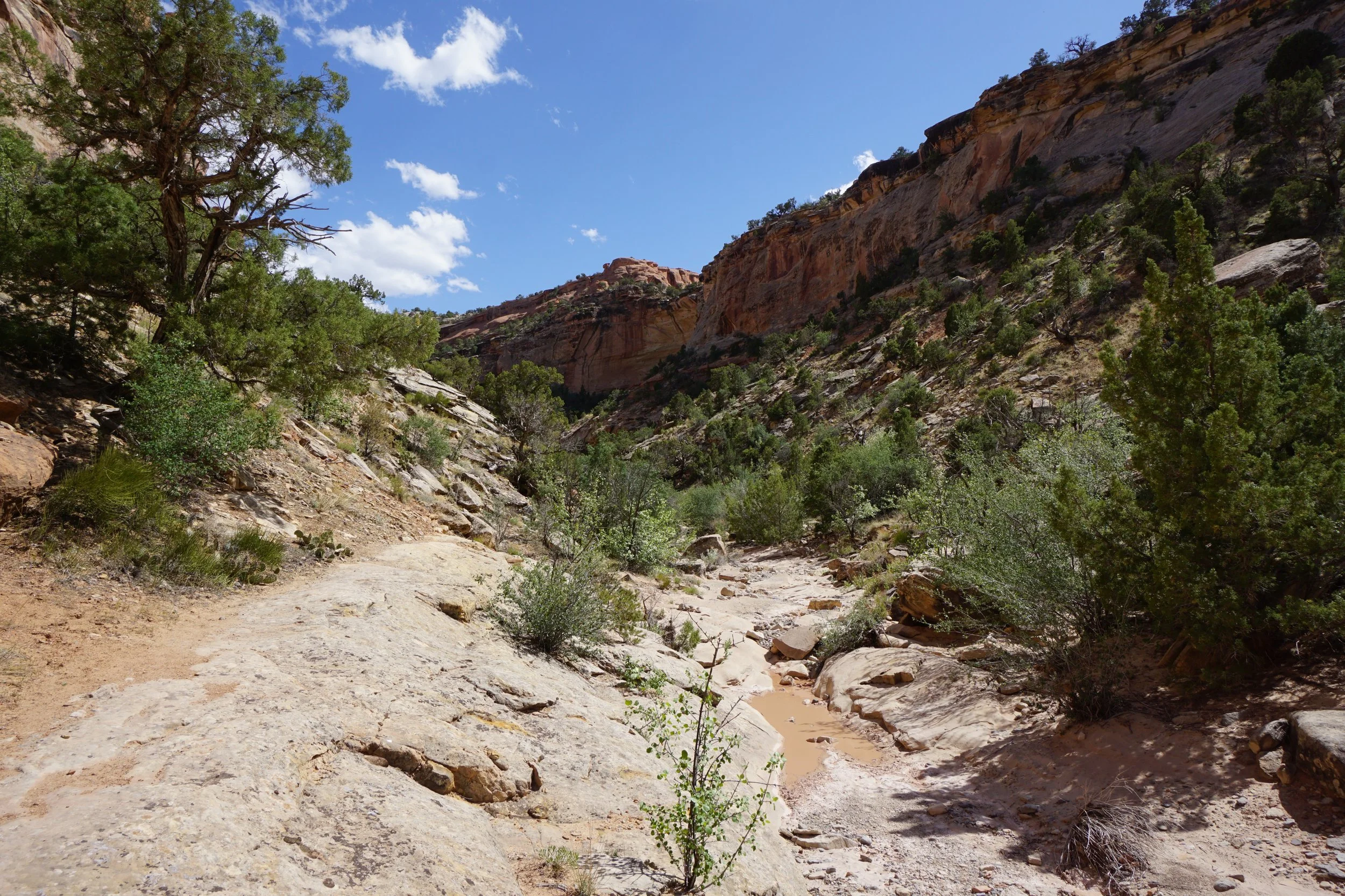 EchoCanyonCOLMDSC06215.JPG