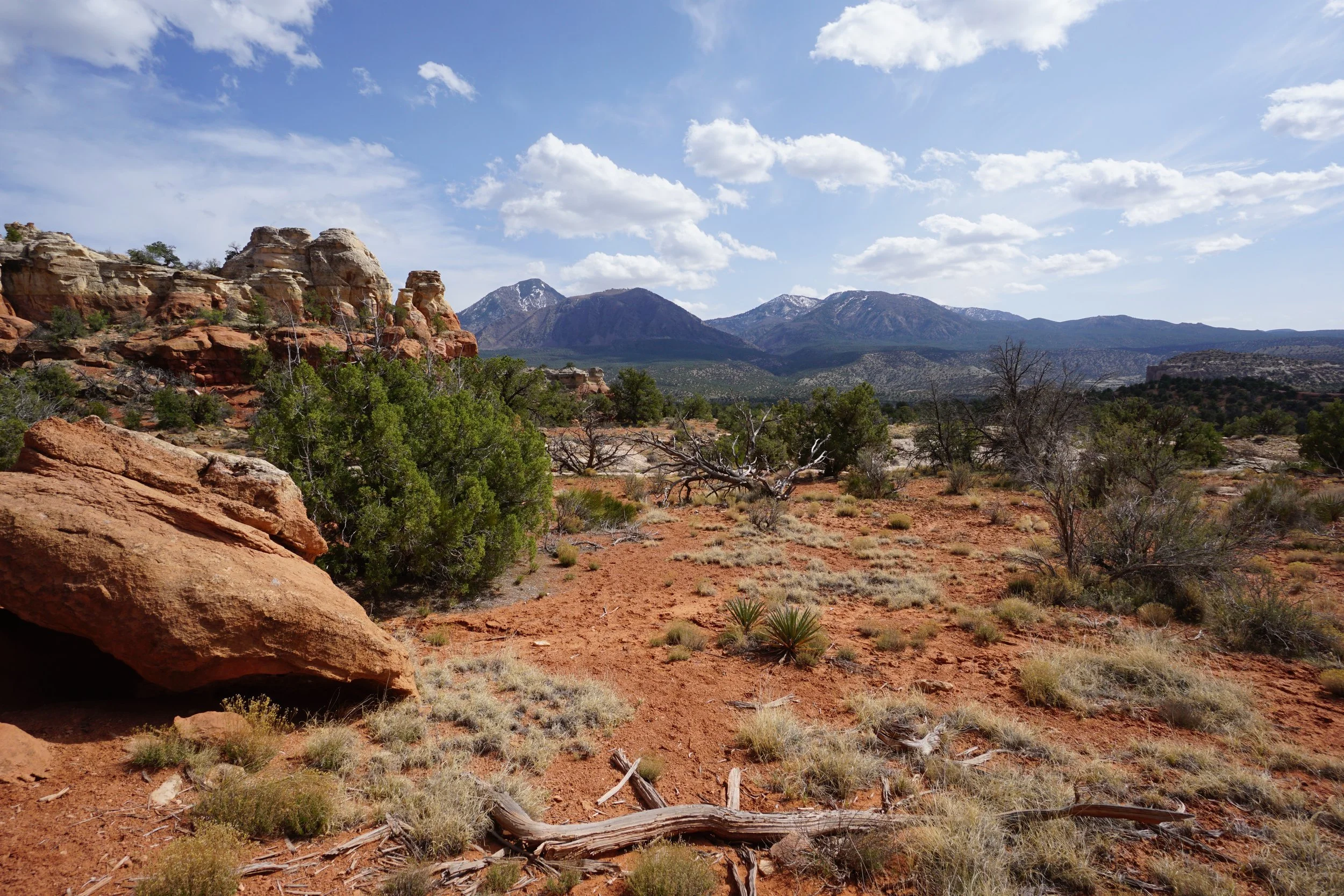 SandCanyonDSC03494.JPG
