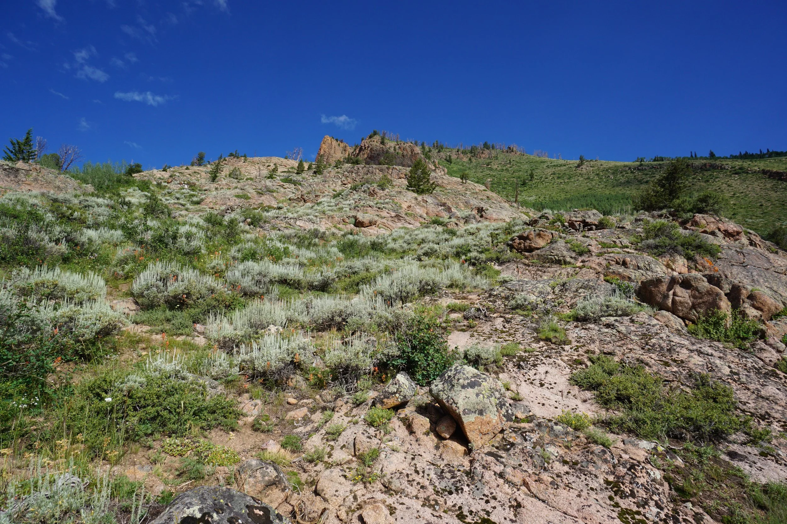 RedCanyonDSC04104.JPG