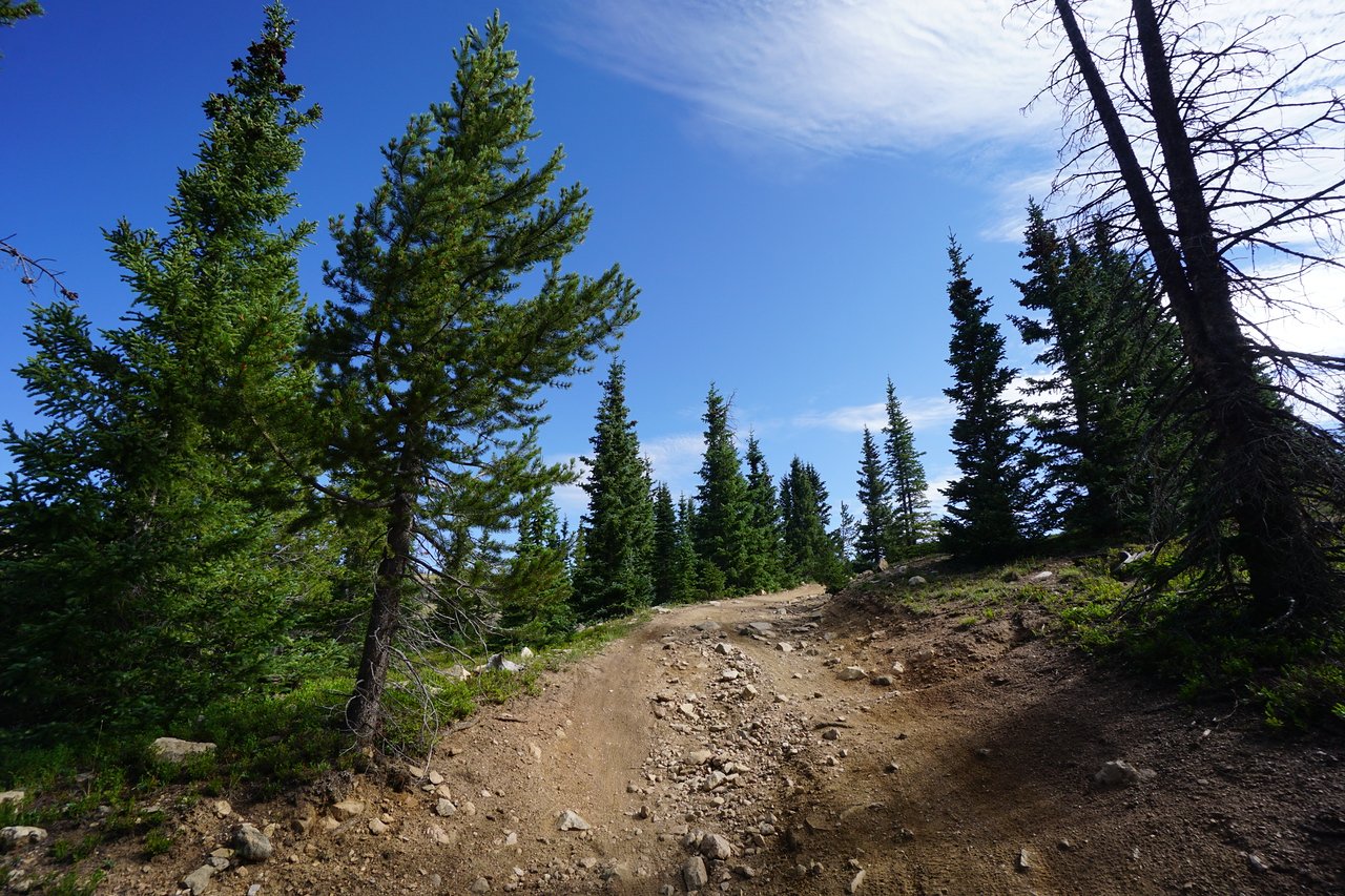 DSC03626-X2.jpg