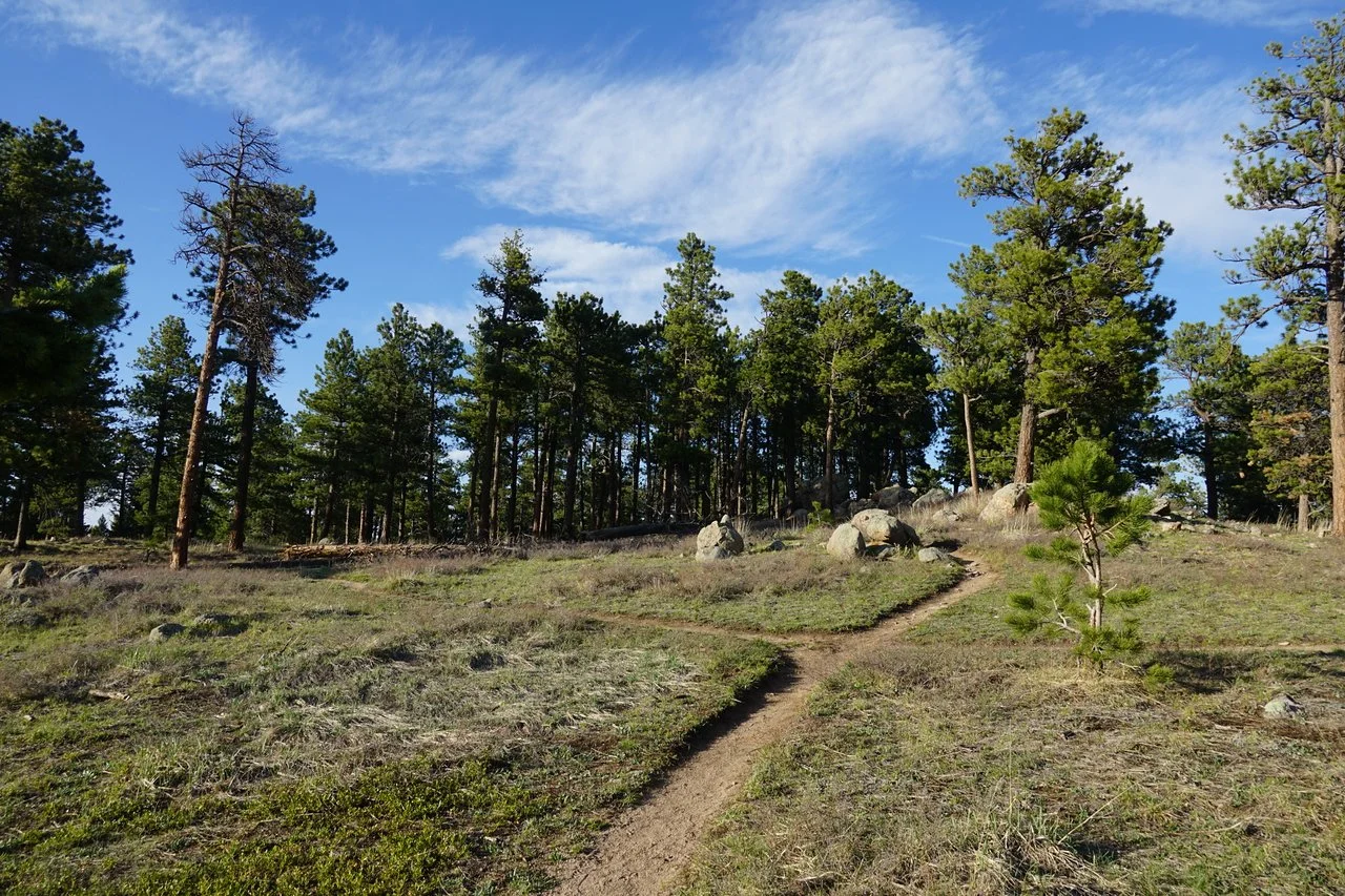 RangeViewOSMPDSC03642-X2.jpg