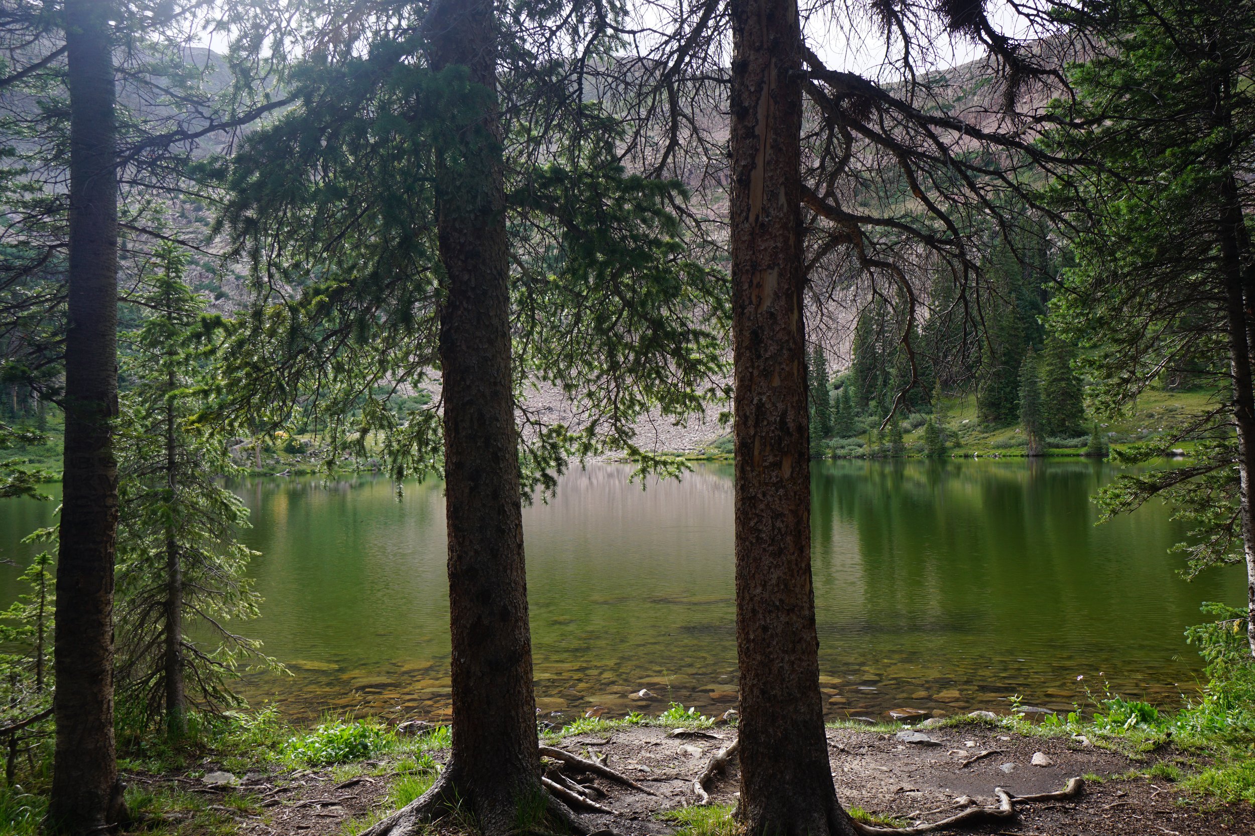 MillLakeDSC03880.JPG