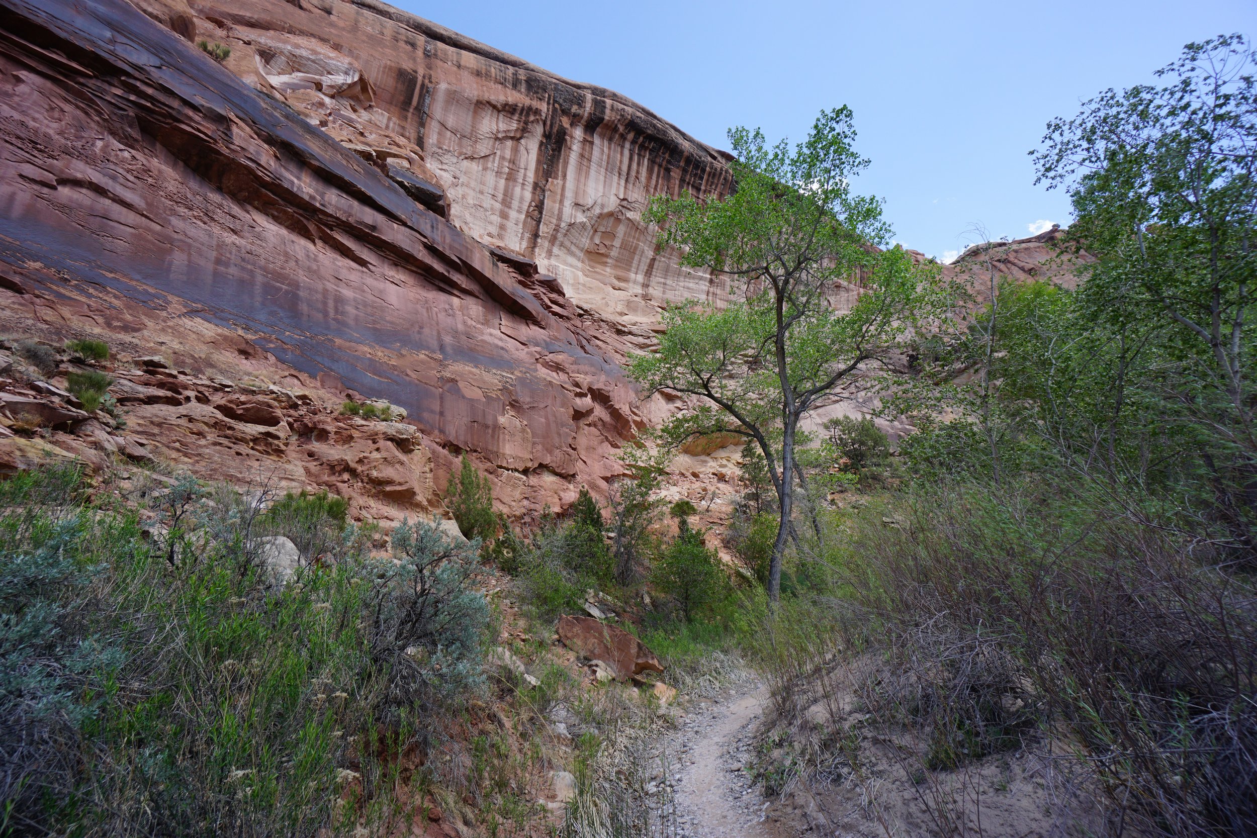 EchoCanyonCOLMDSC06192.JPG