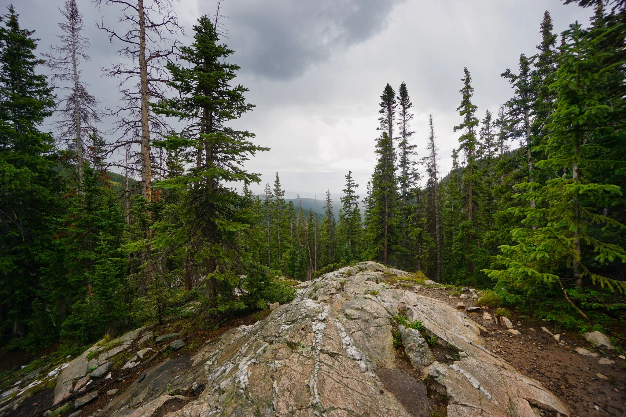 LamphierLakesDSC03736-2.jpg