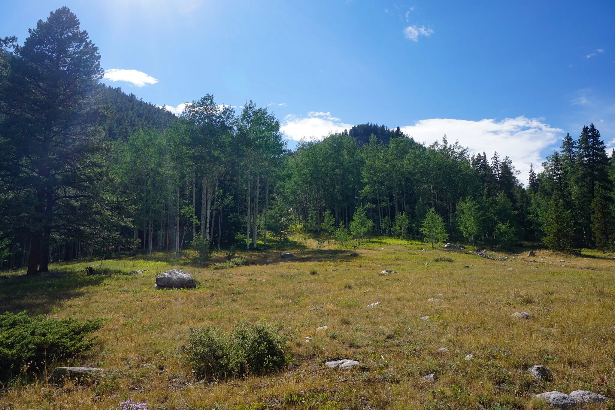MillLakeDSC03851-2.jpg
