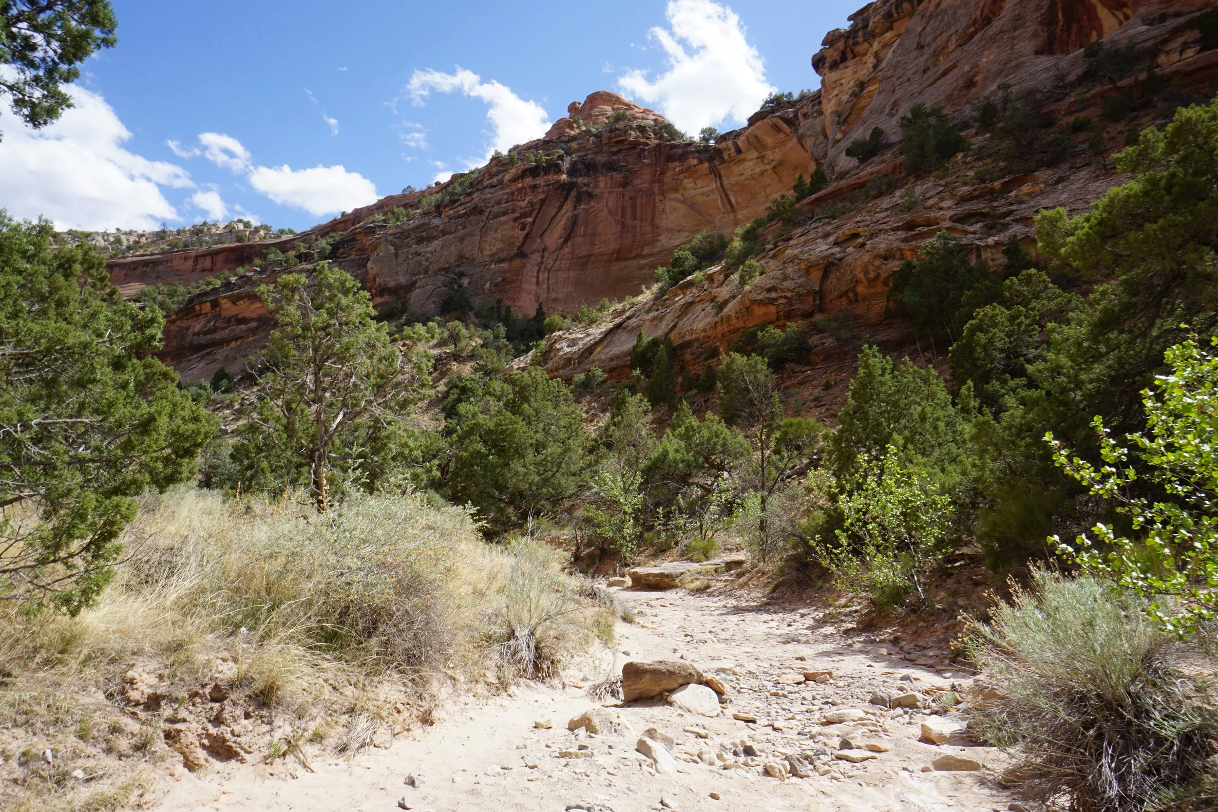 EchoCanyonCOLMDSC06221.JPG