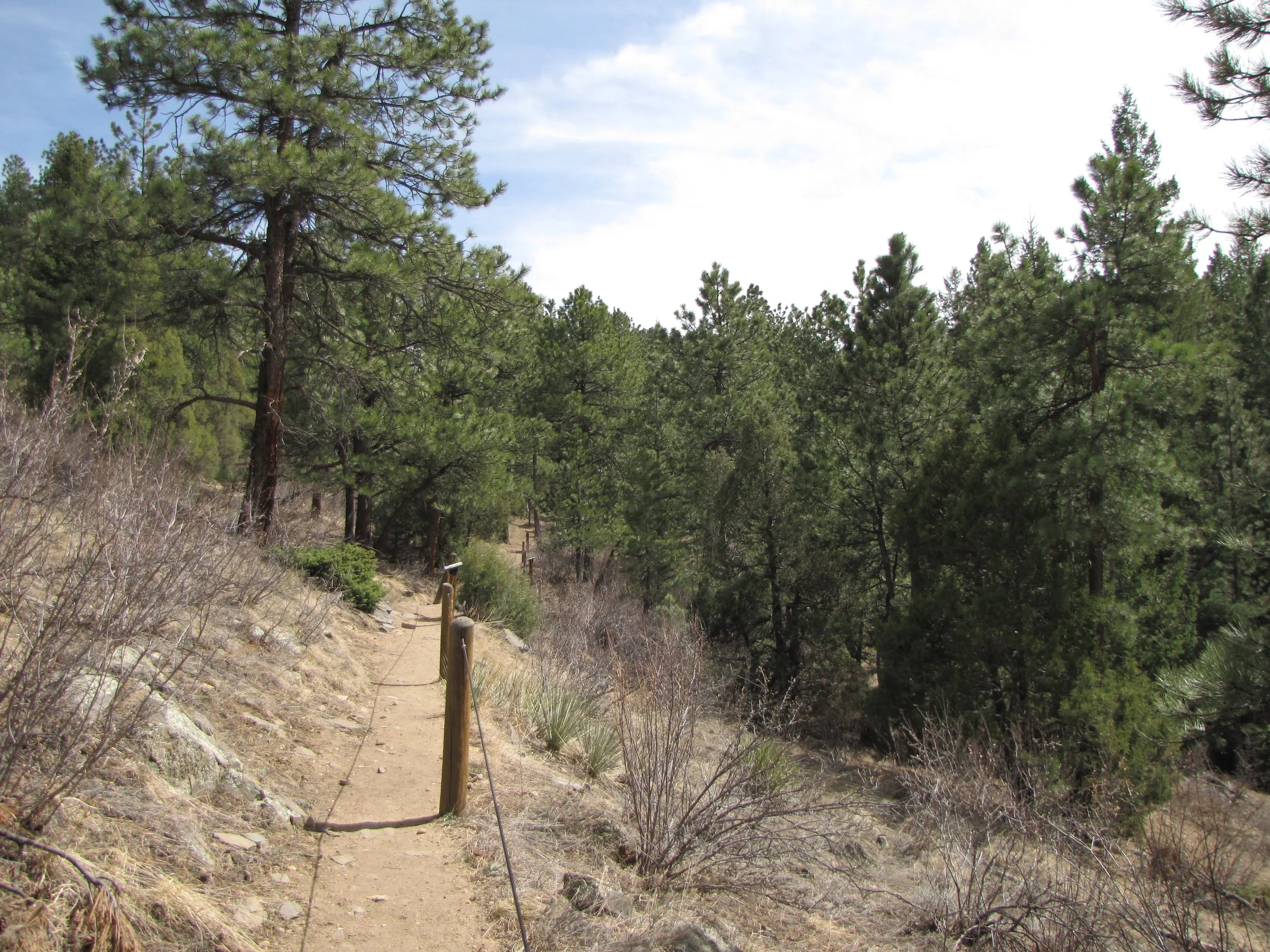 BBChavezIMG_4189.JPG