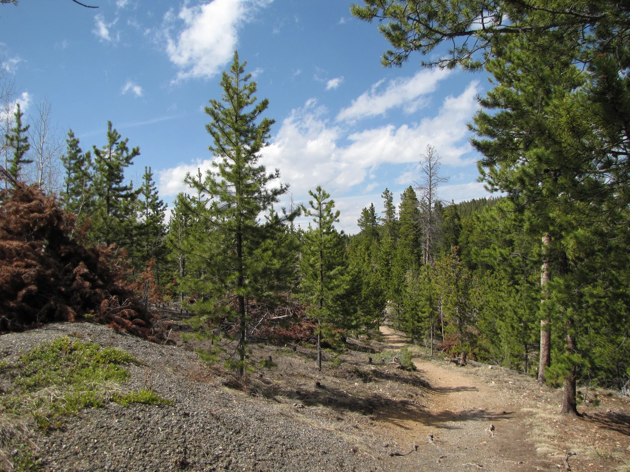 MaxwellFallsIMG_8070.jpg