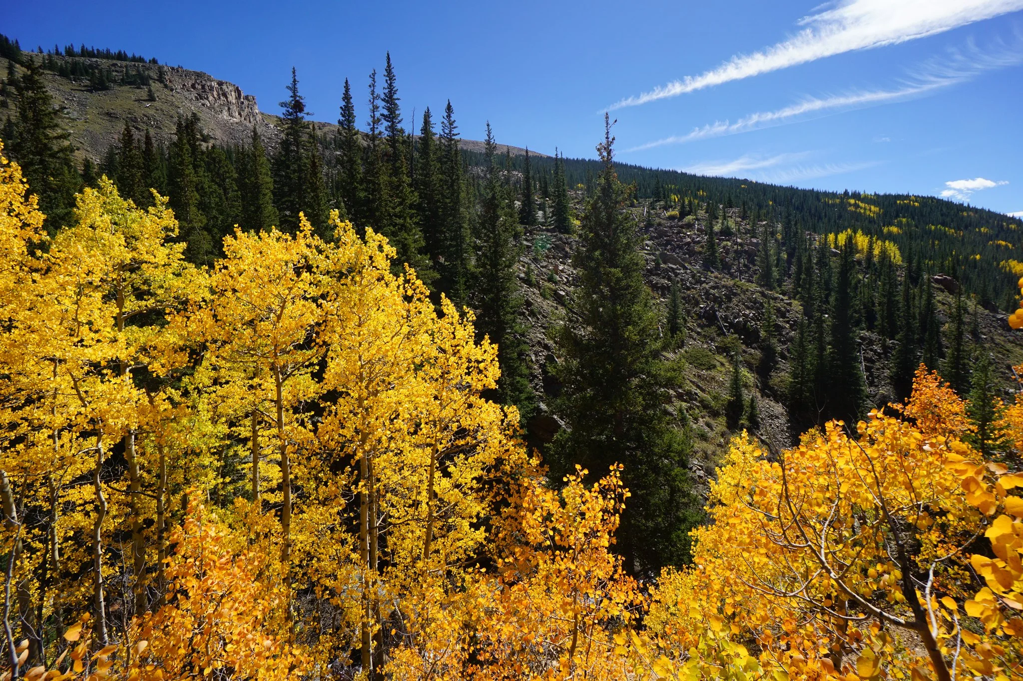 AbyssTrailDSC05015-2.jpg