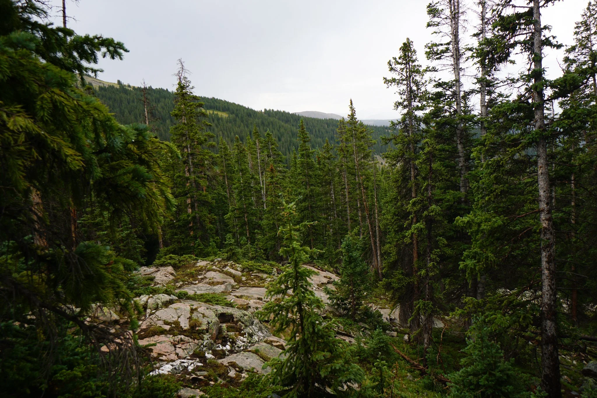 LamphierLakesDSC03739-2.jpg