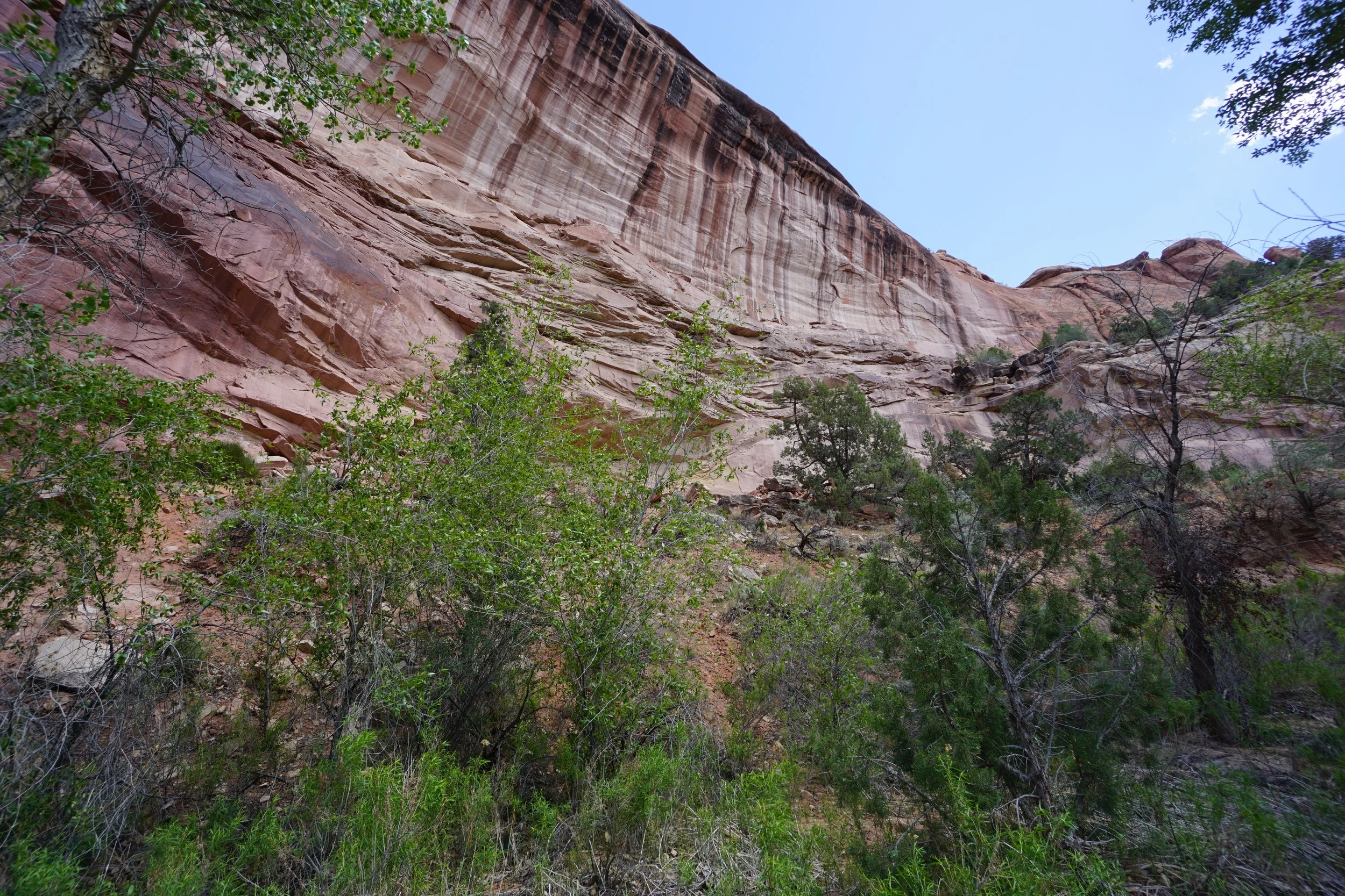 EchoCanyonCOLMDSC06195.JPG