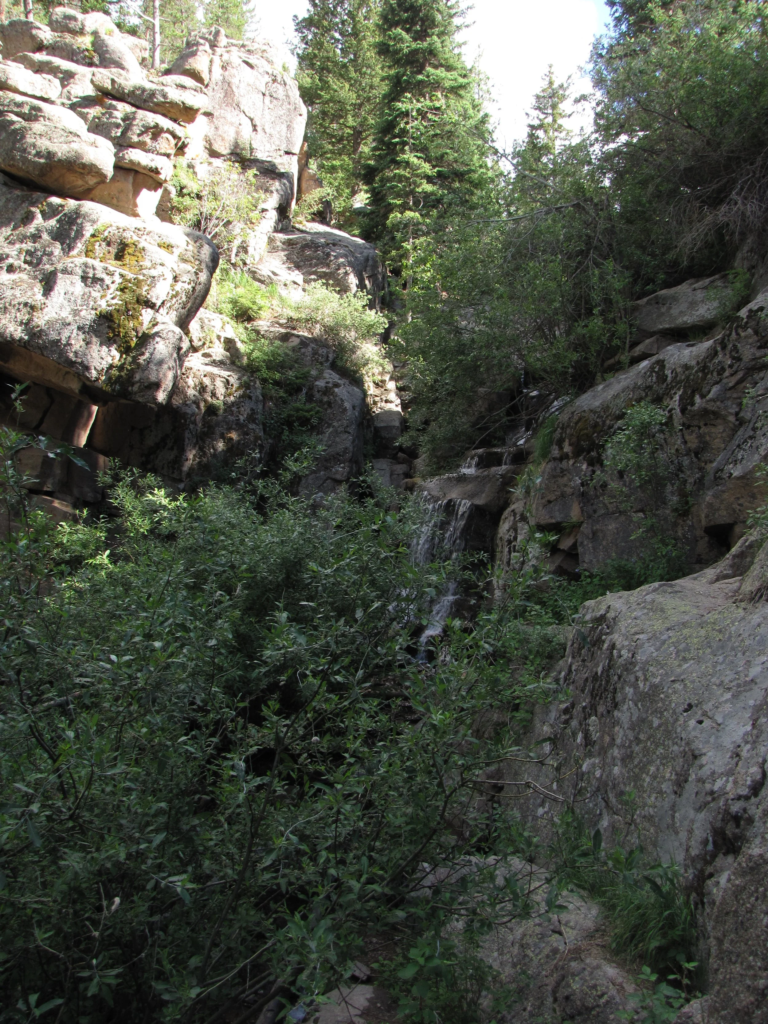 MaxwellFallsIMG_0411.jpg