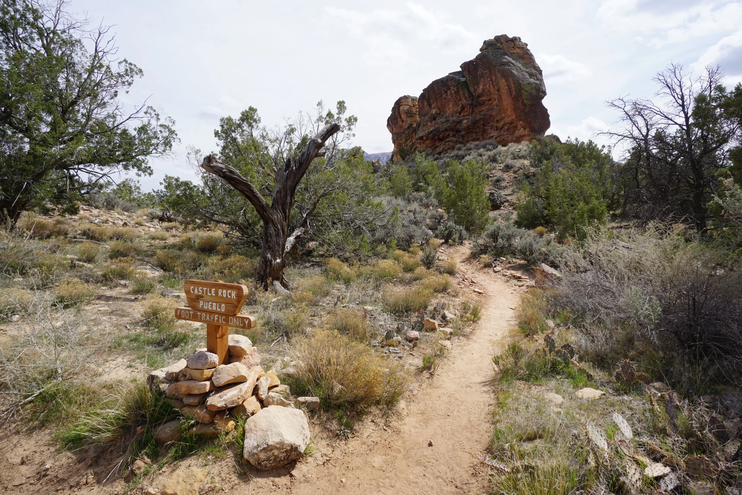 SandCanyonDSC03407.JPG