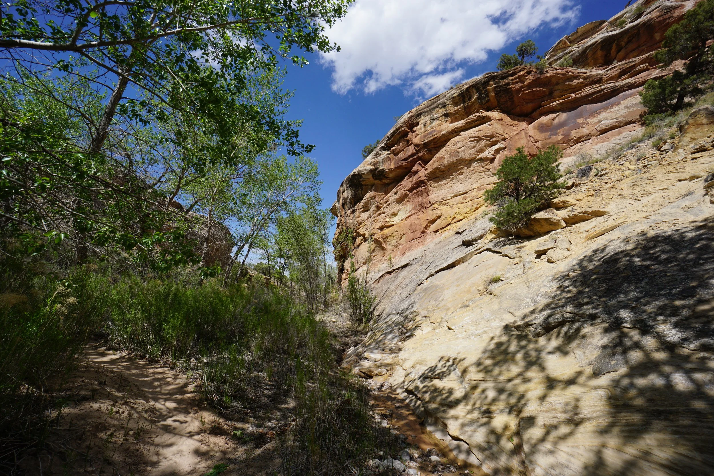 EchoCanyonCOLMDSC06177.JPG