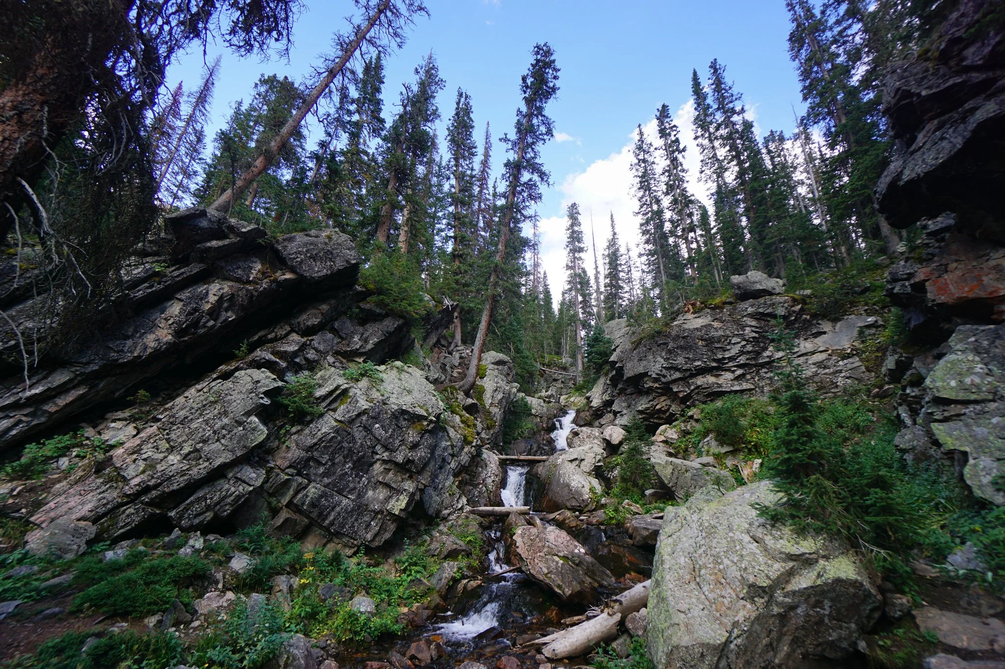DSC04216-2.jpg