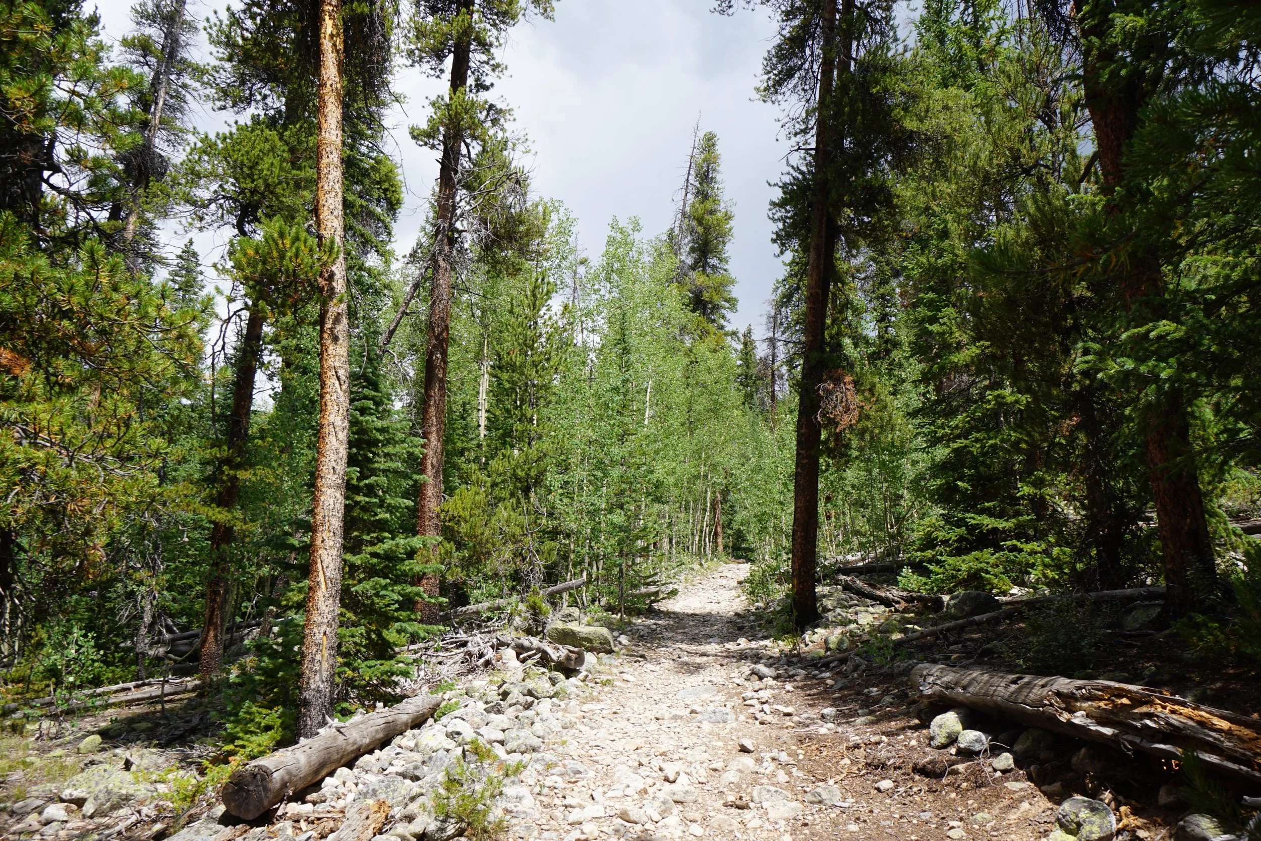 LamphierLakesDSC03683.JPG