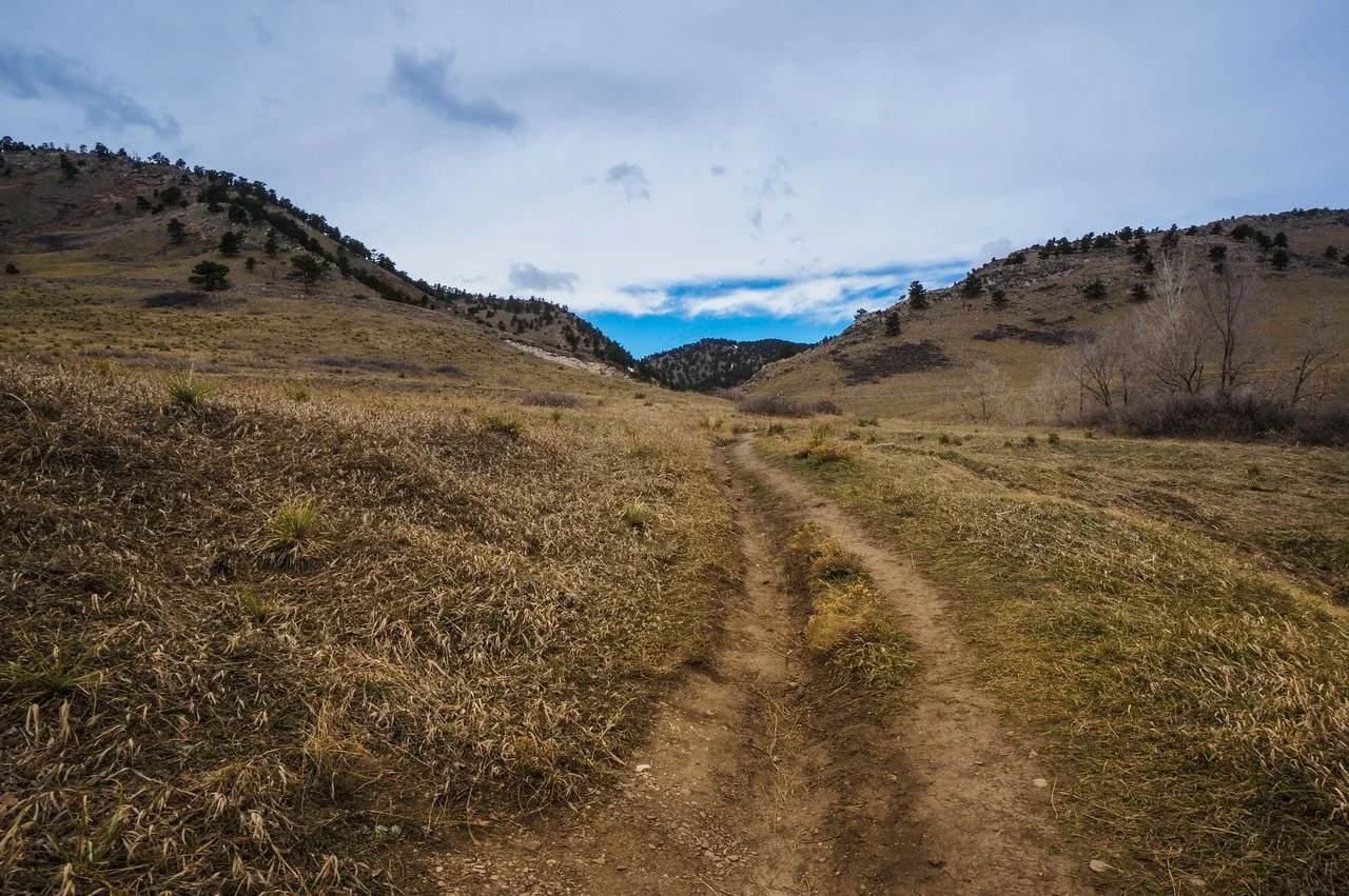 DSC08619-1 copy-X2.jpg