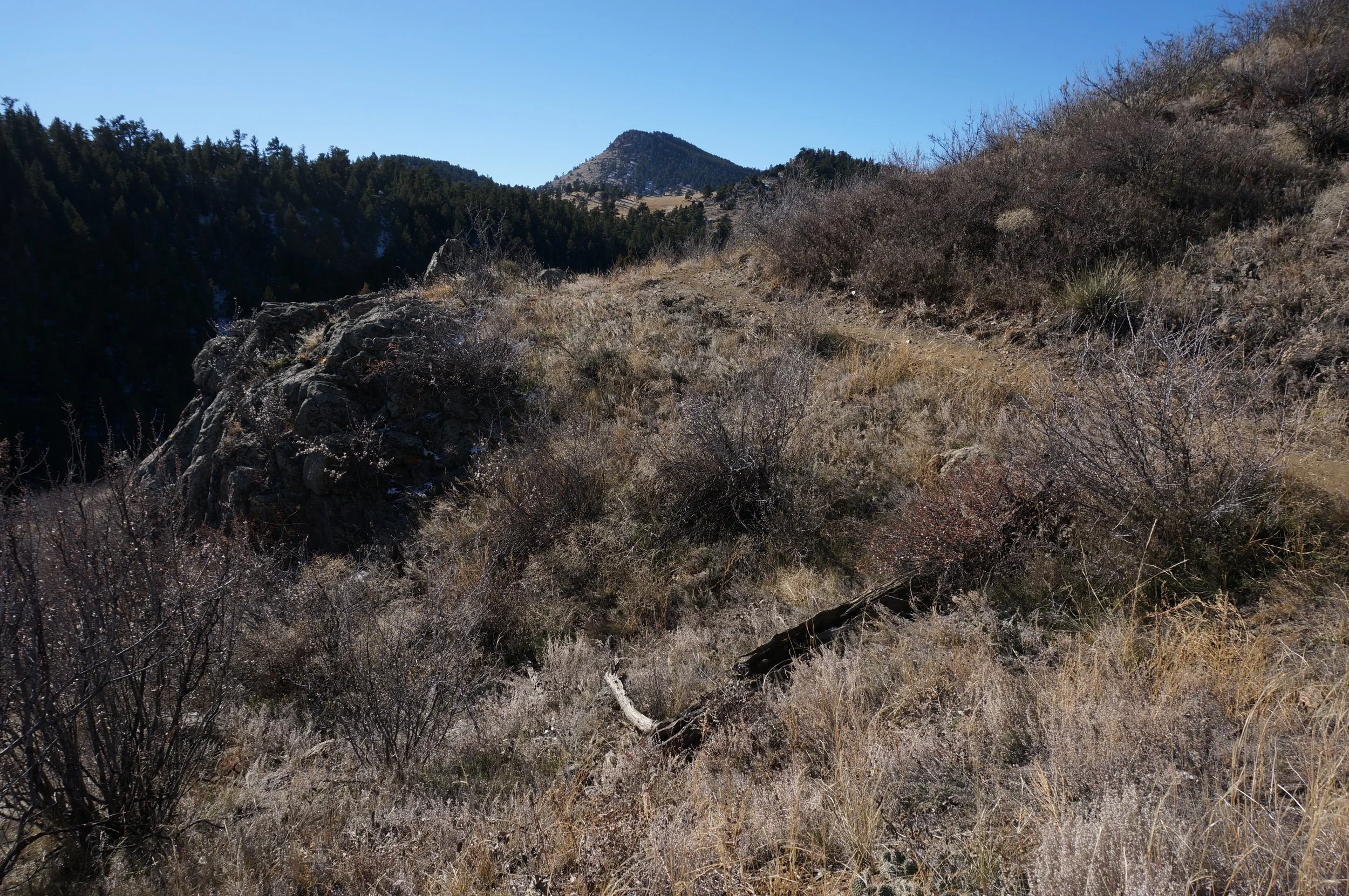 TravoisEveningDSC07156.jpg