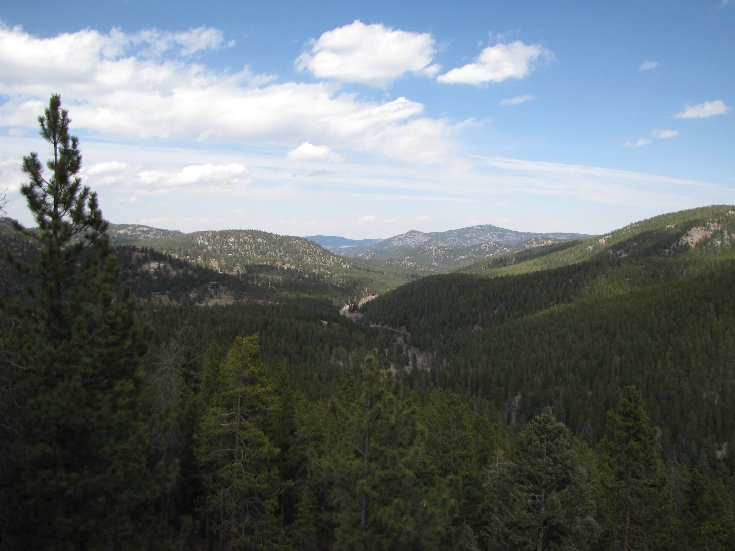 MaxwellFallsIMG_8037.jpg