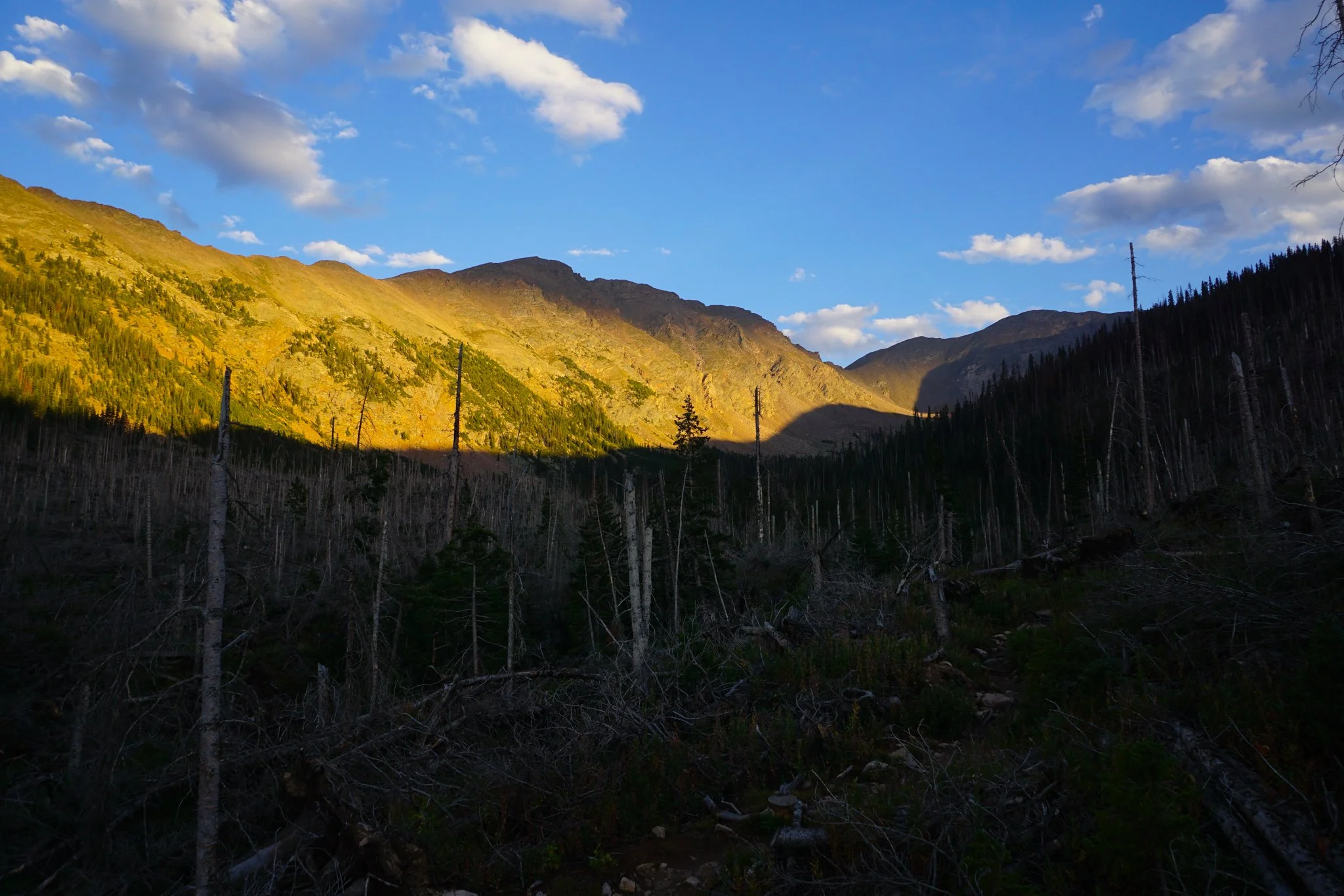 DSC04310-2.jpg