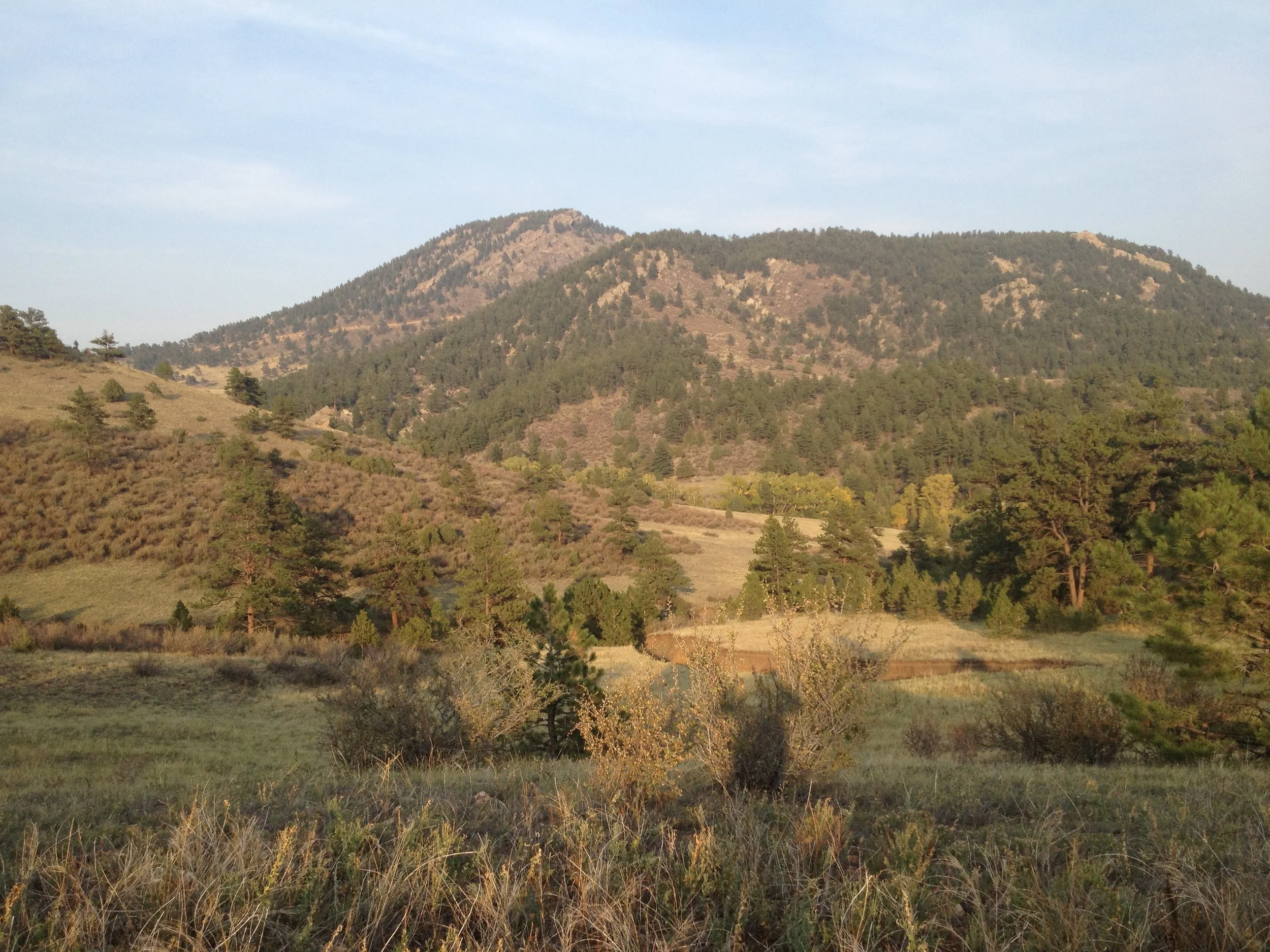 MayhemIMG_3329.jpg
