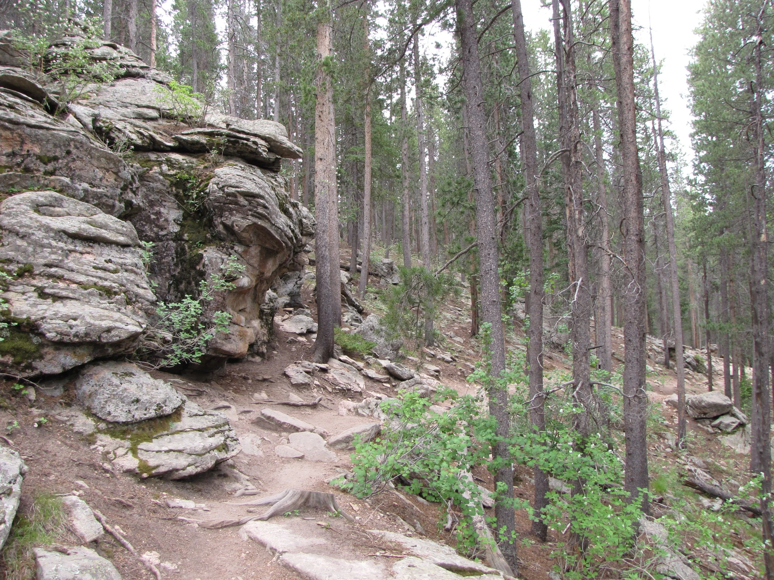 MaxwellFallsIMG_0455.jpg