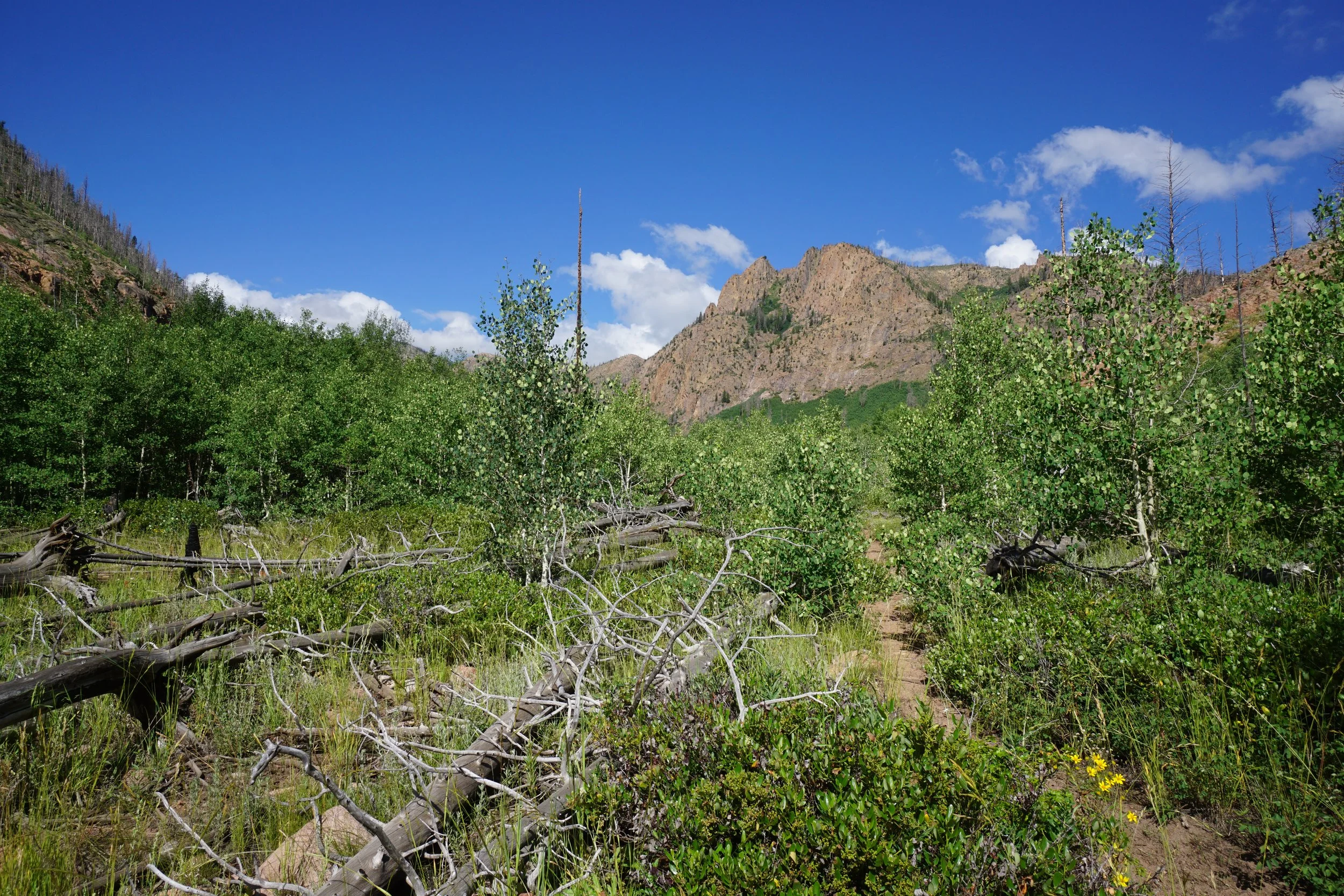 RedCanyonDSC04127.JPG