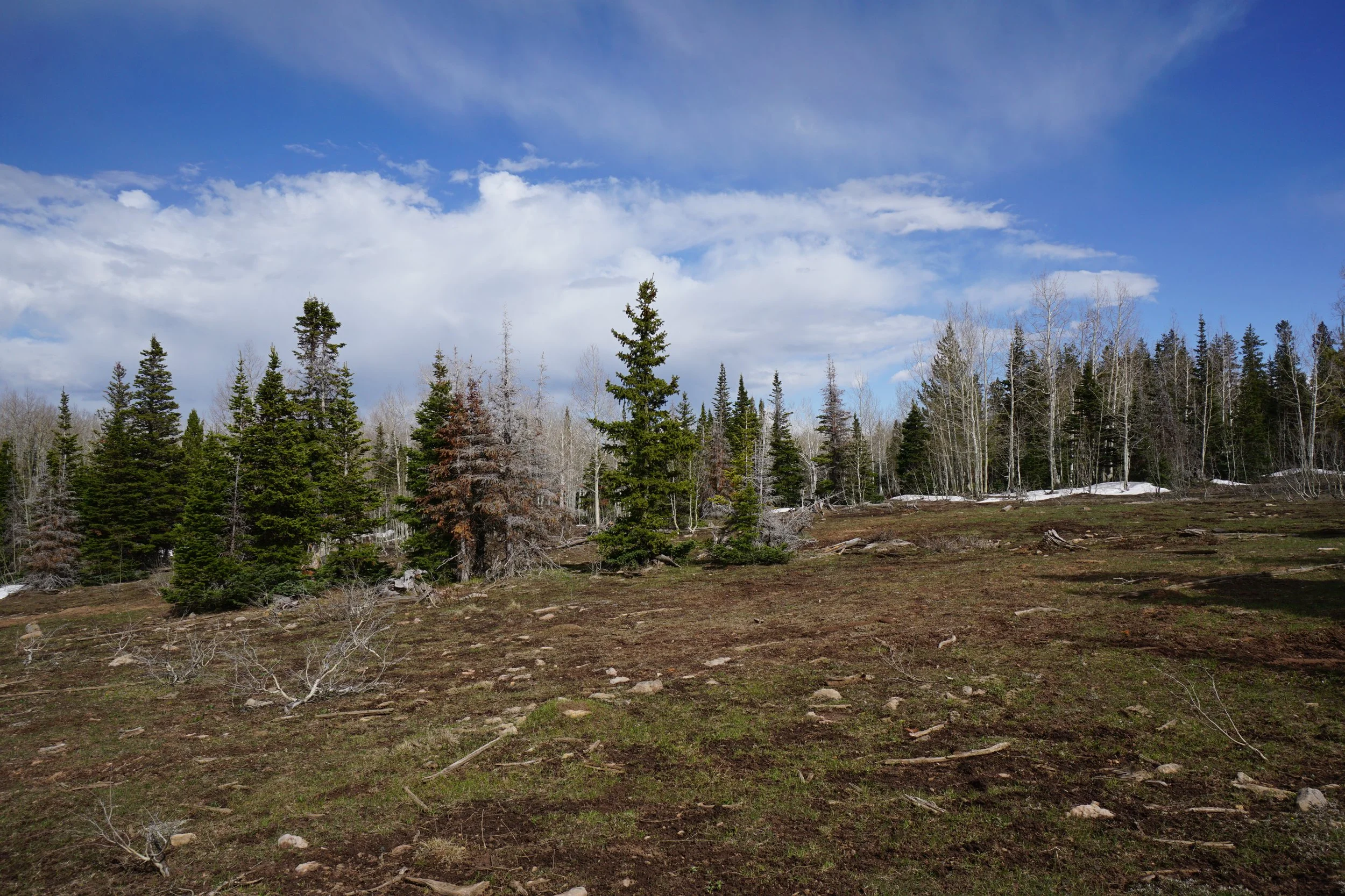 RimTrailDSC06788.JPG