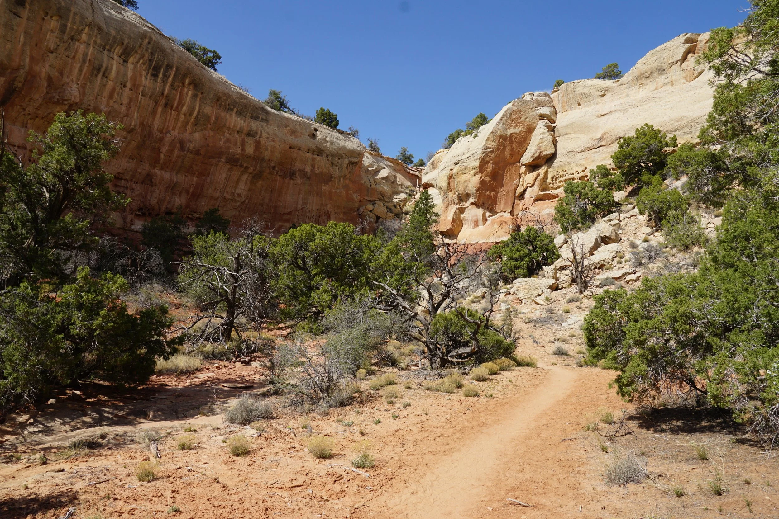 SandCanyonDSC03456.JPG