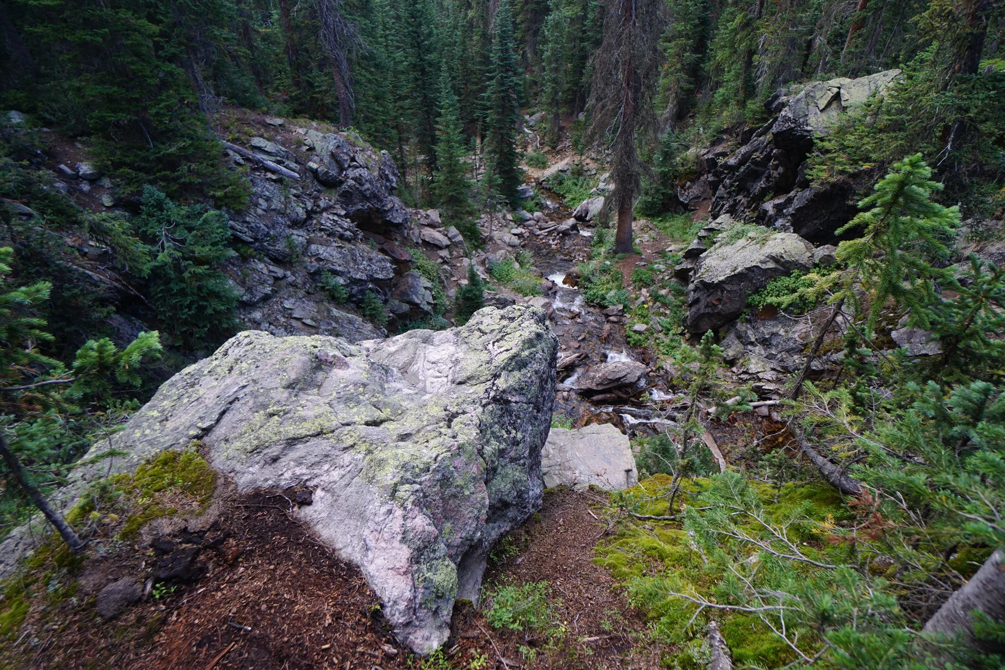 DSC04277-2.jpg