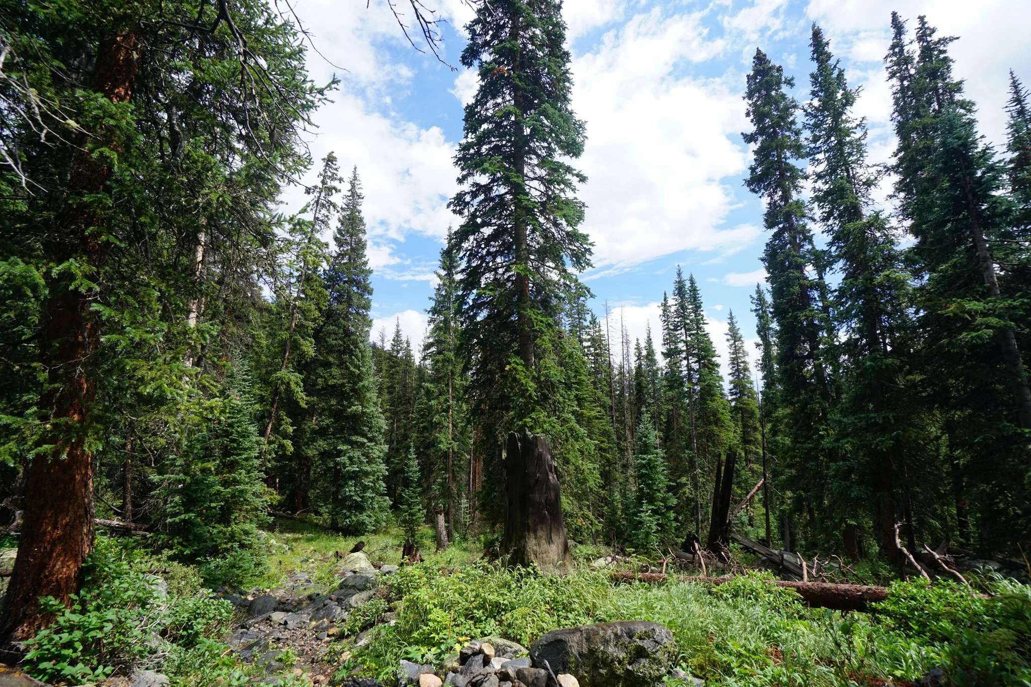 LamphierLakesDSC03831-2.jpg