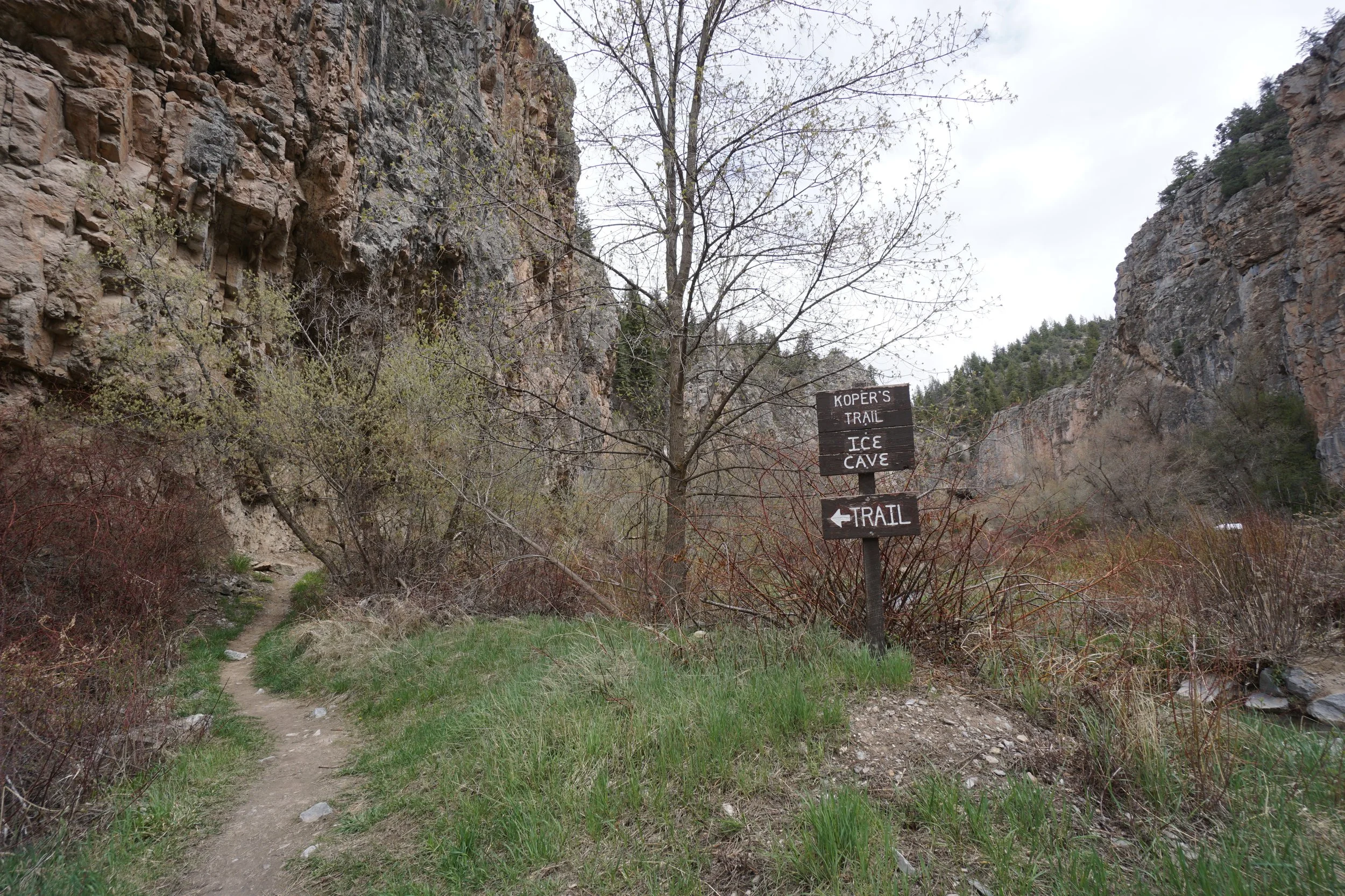 RifleIceCavesDSC06003.JPG