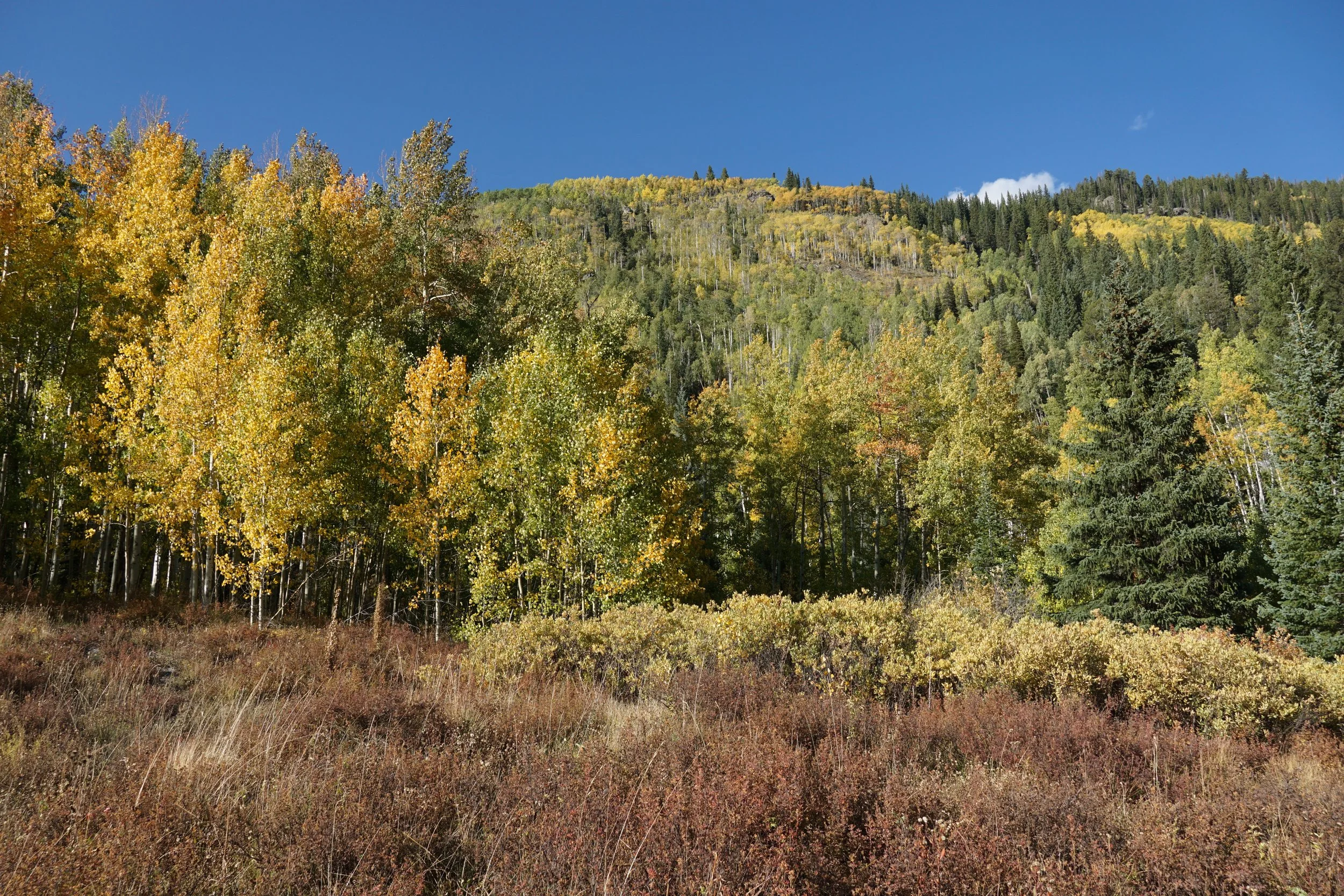 Eagle LakeDSC06699.JPG