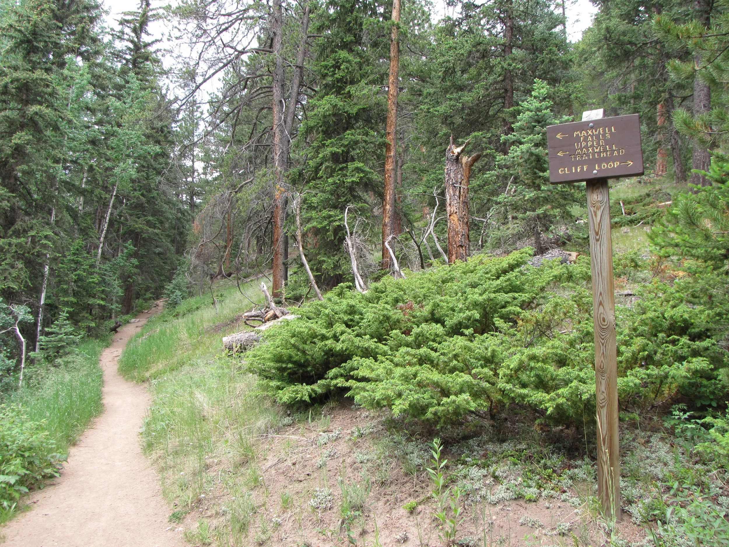 MaxwellFallsIMG_0461.jpg
