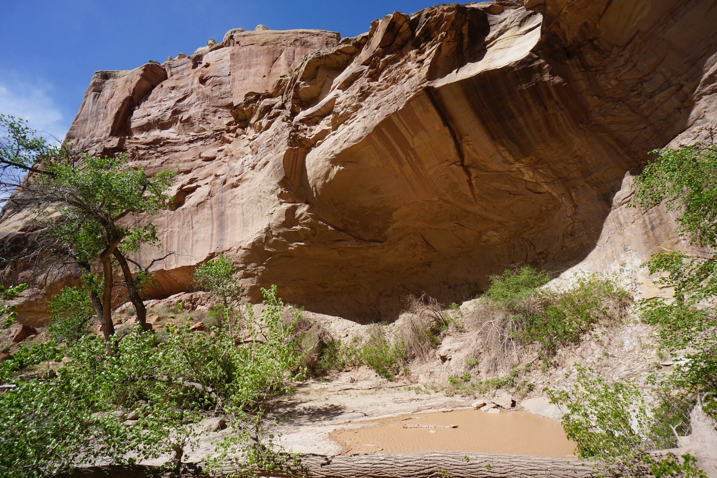EchoCanyonCOLMDSC06258.JPG