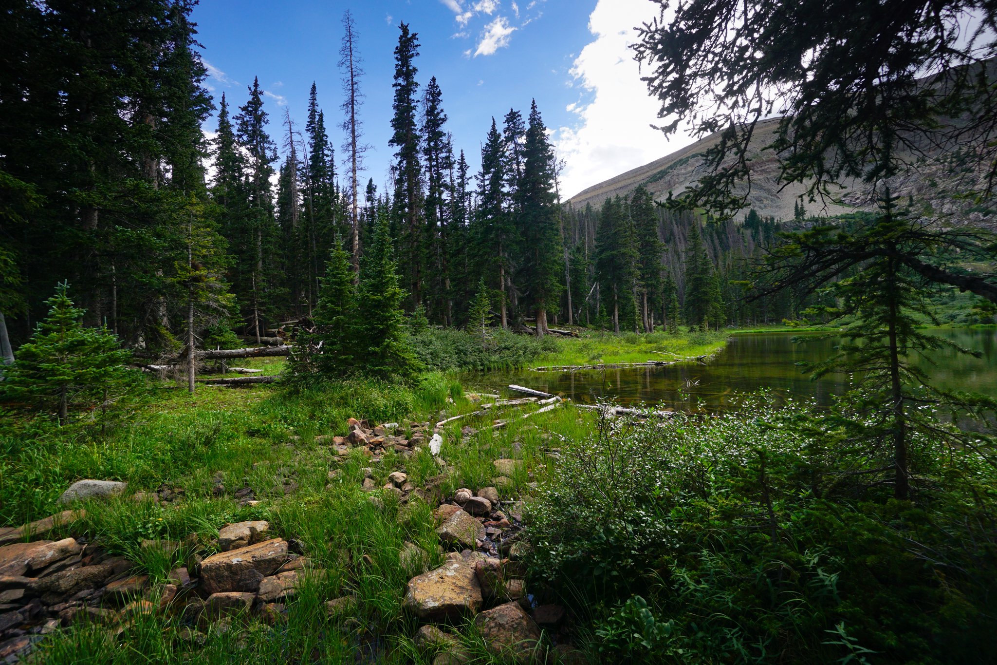 MillLakeDSC03895-2.jpg