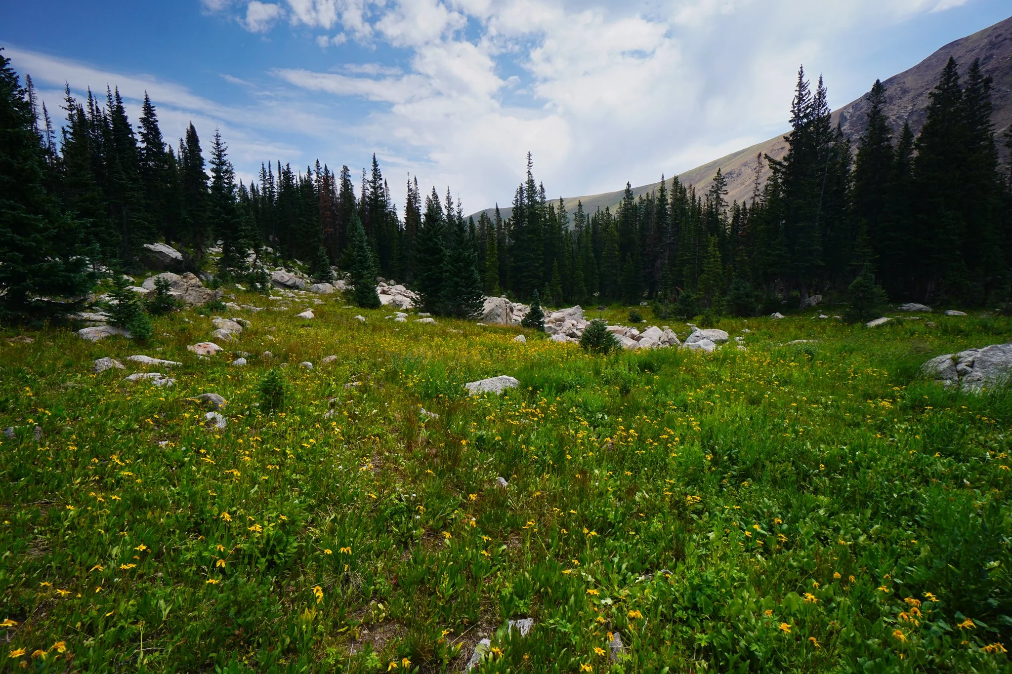 HeartLakeDSC03985-2.jpg