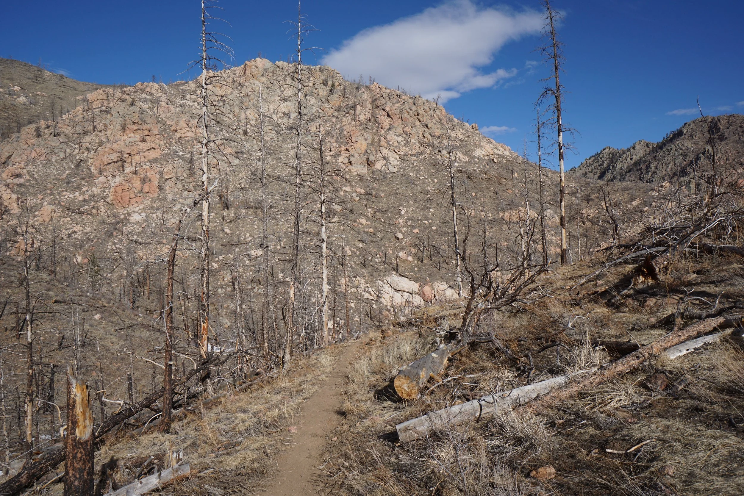 YoungGulchDSC00061-X5.jpg