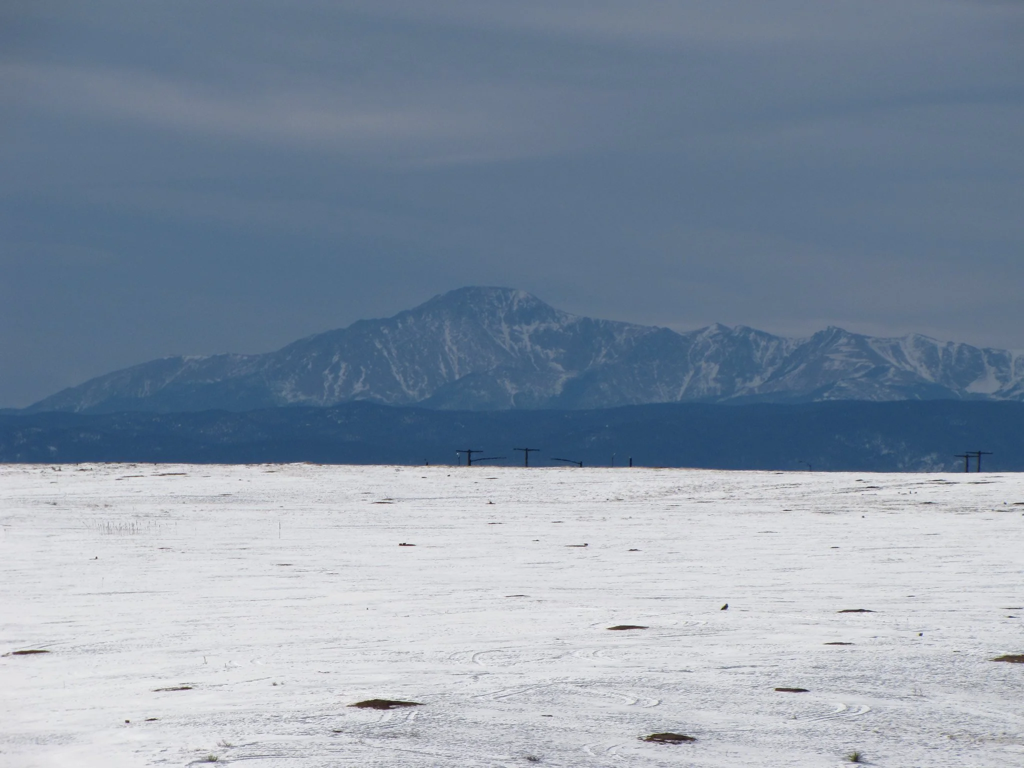 Glendale FarmIMG_7852-X4.jpg