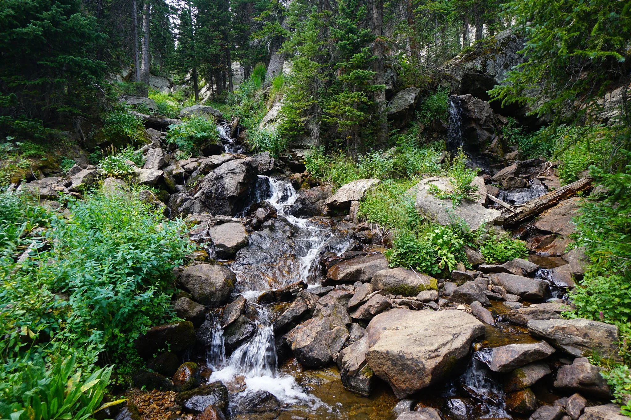 HeartLakeDSC03943-2.jpg