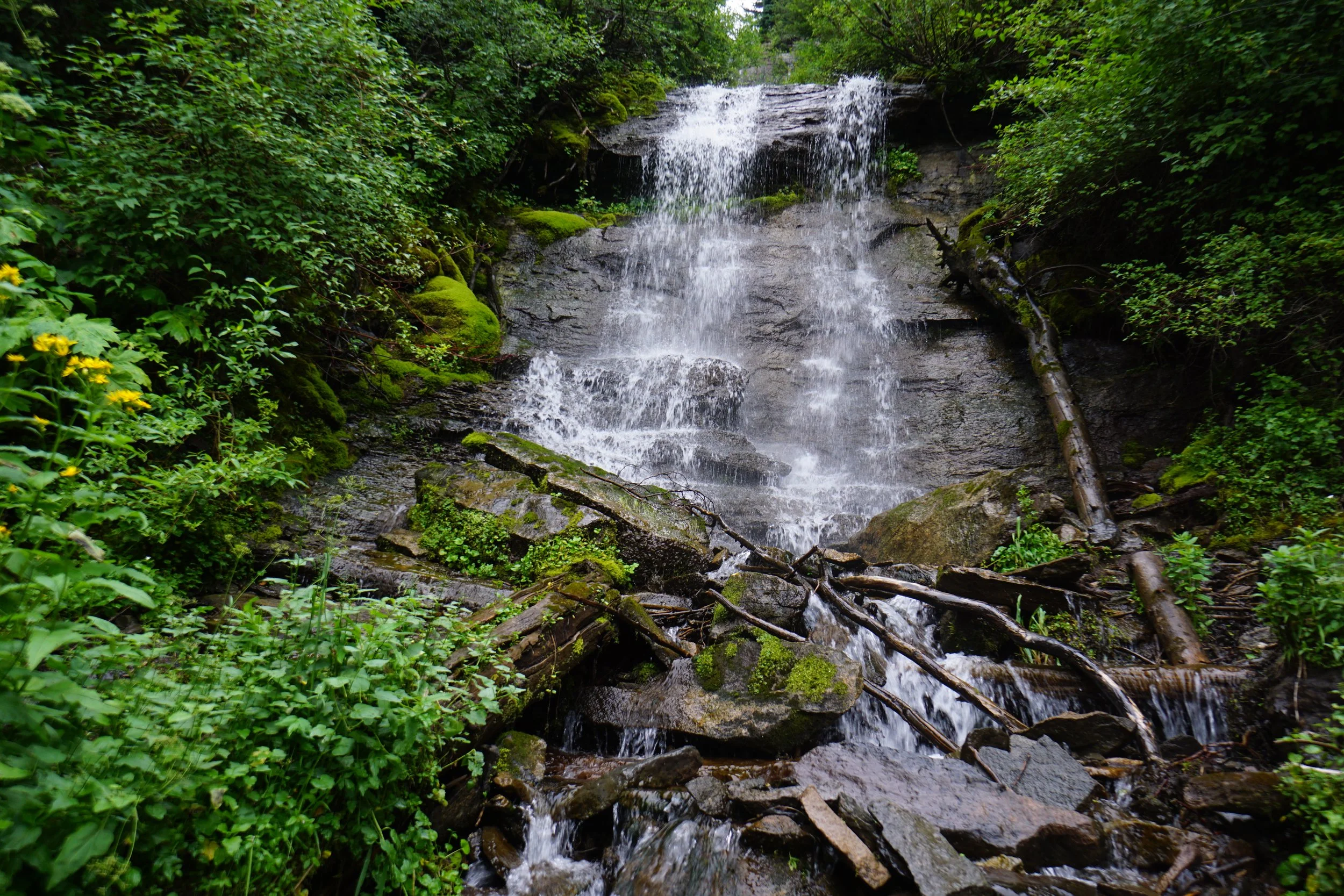 EastVailFallsDSC08780.JPG